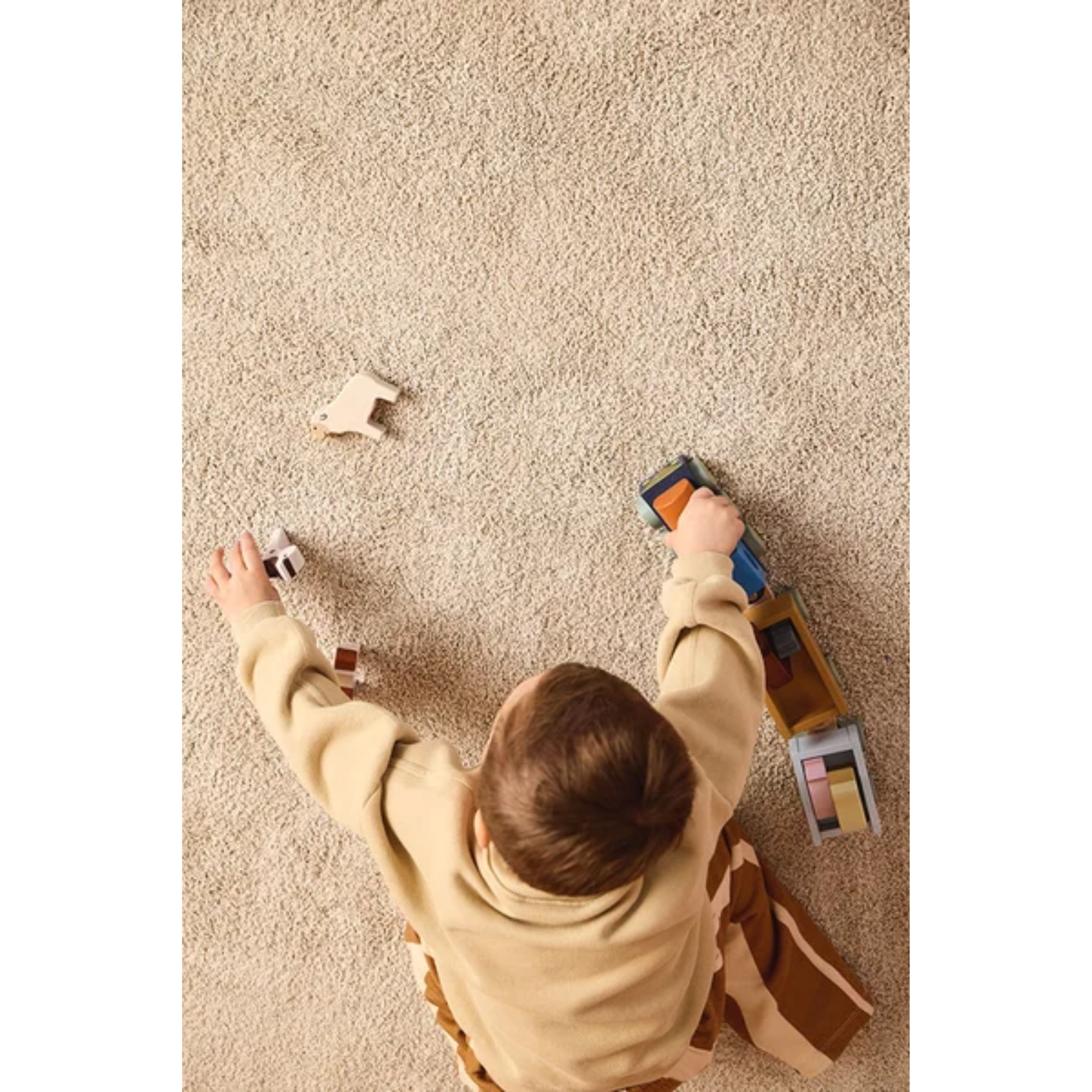 Traukinukas su ūkio gyvūnais