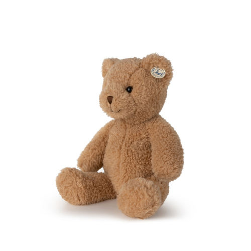 Gus the bear in a gift box