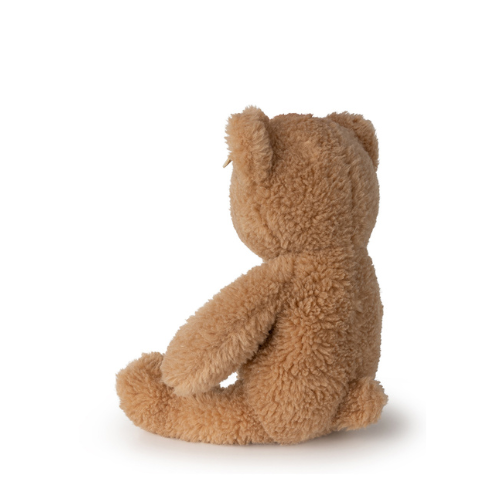 Gus the bear in a gift box