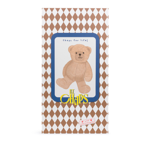 Gus the bear in a gift box