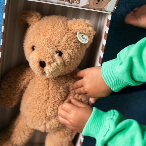 Gus the bear in a gift box