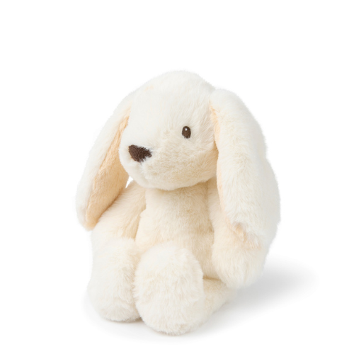 Robert the bunny
