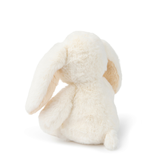 Robert the bunny