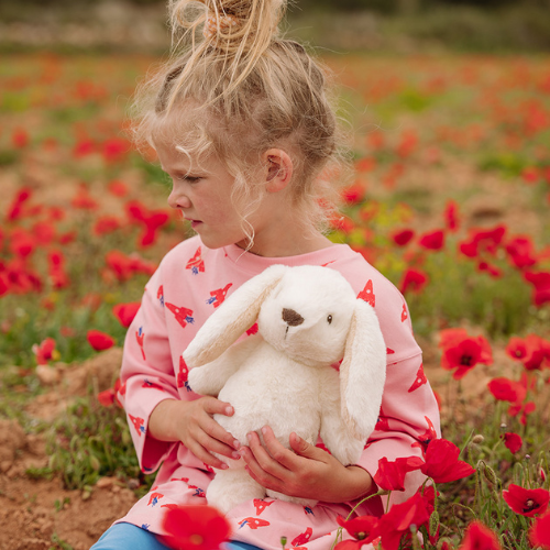 Robert the bunny