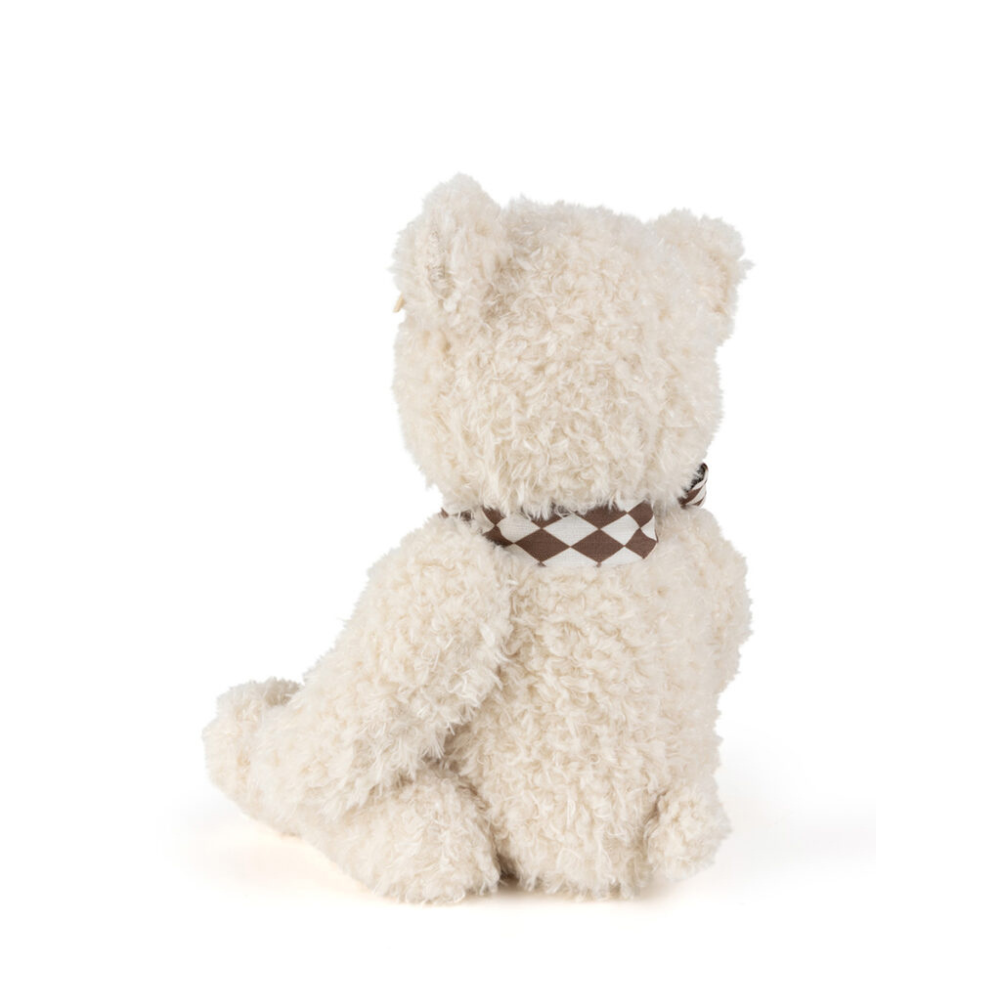 Bear Beryl