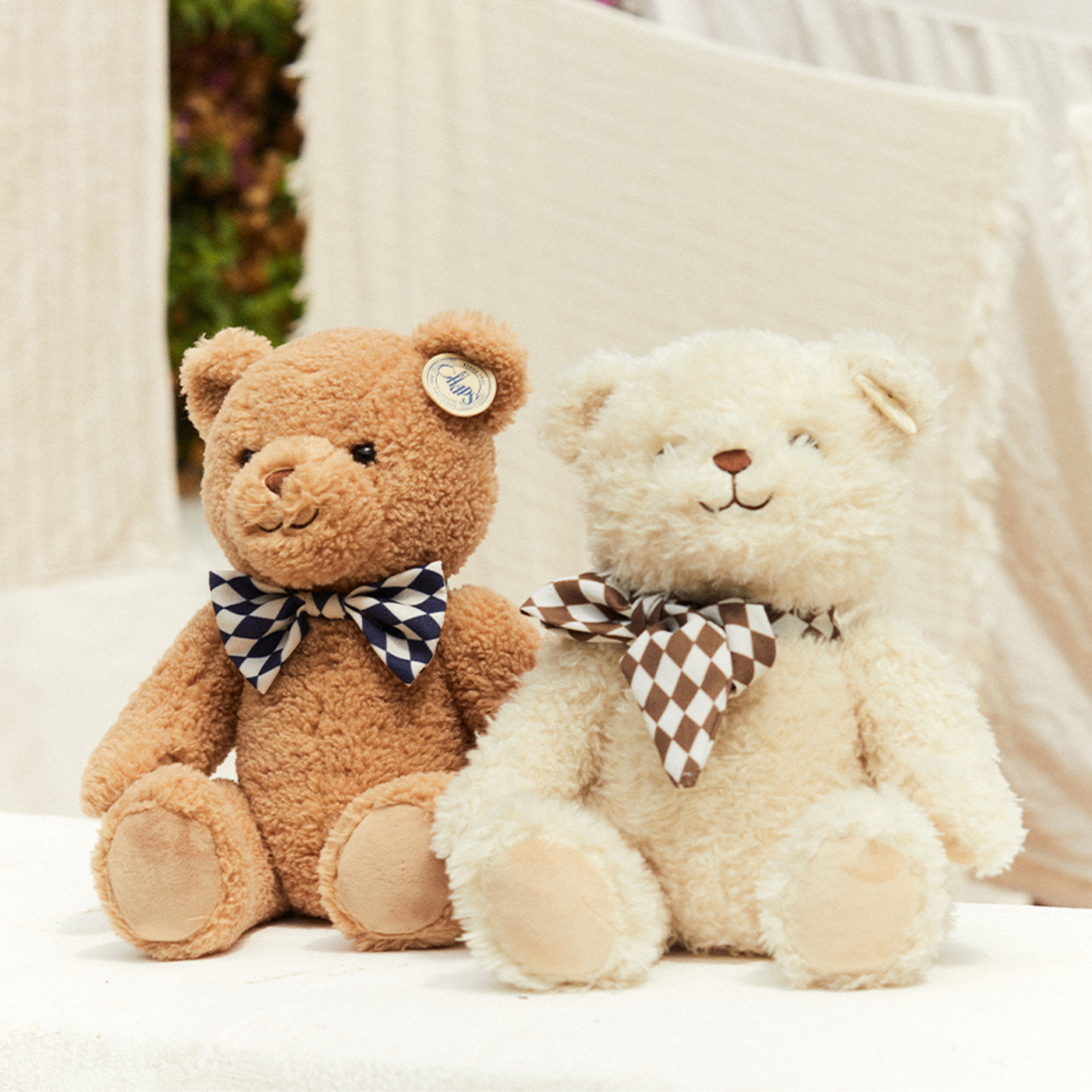 Bear Beryl