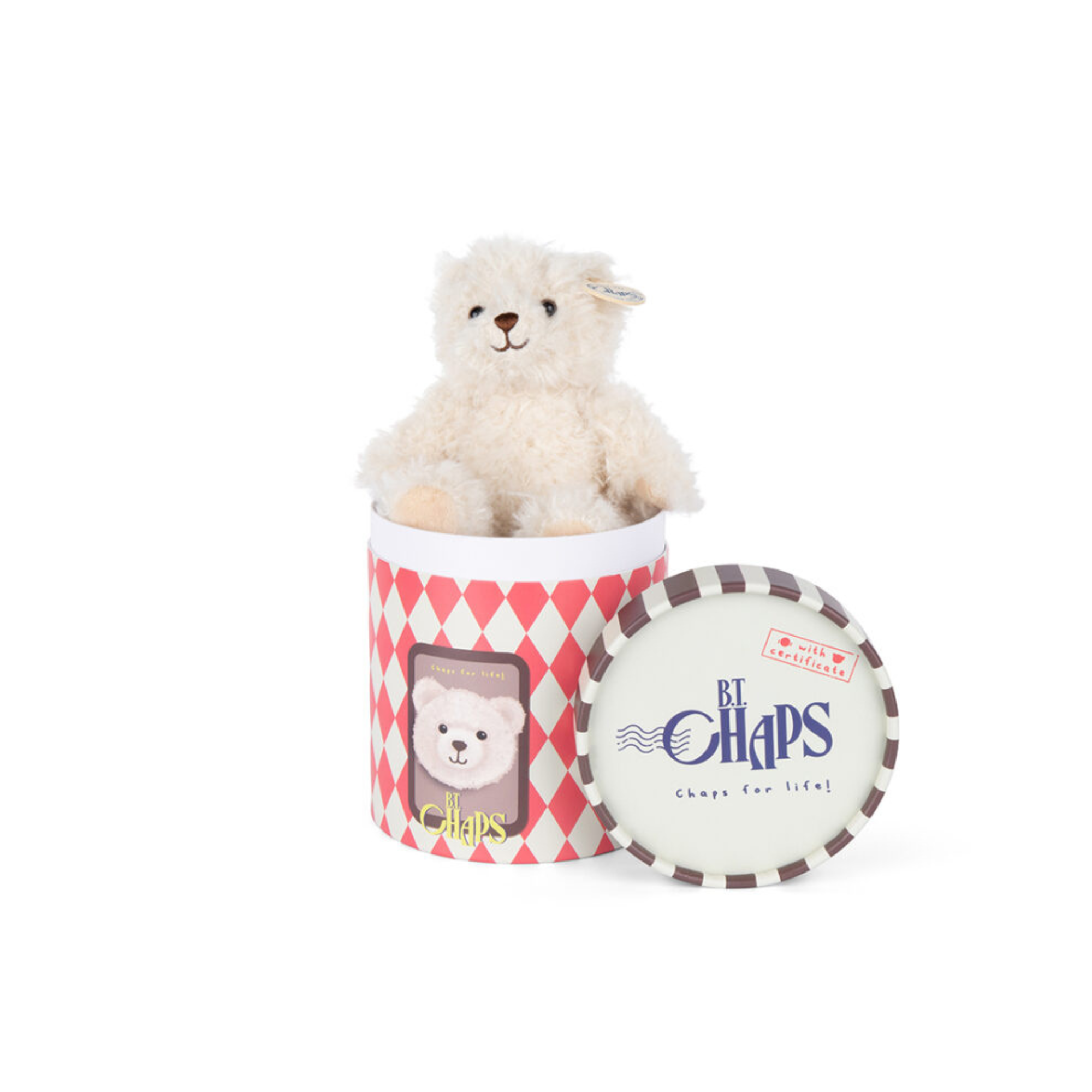 Walter the bear in a gift box