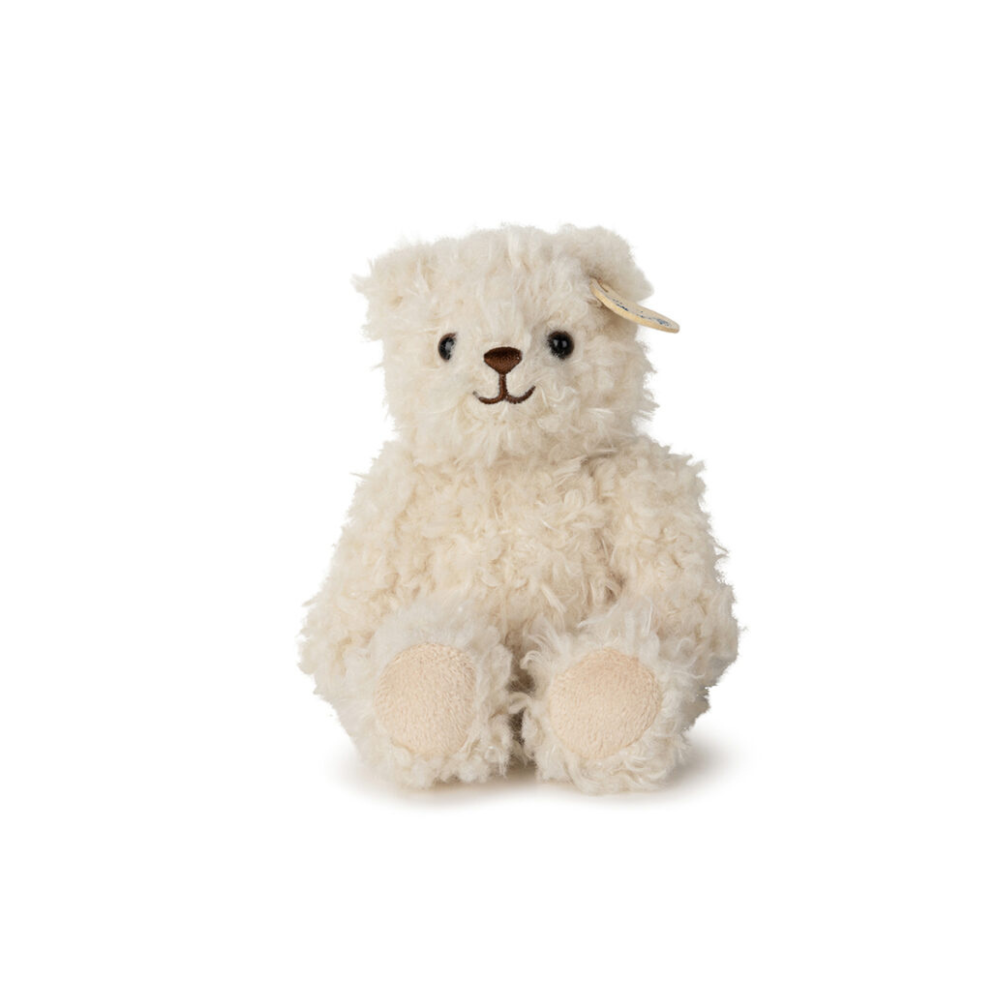 Walter the bear in a gift box