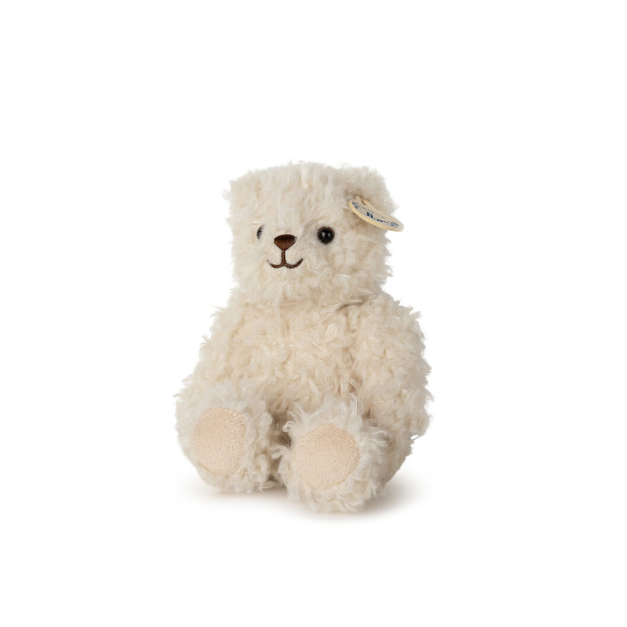 Walter the bear in a gift box