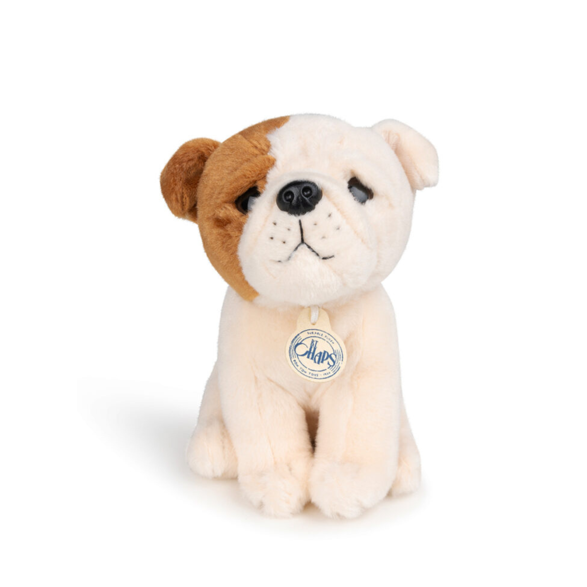 Puppy Bertha in a gift box