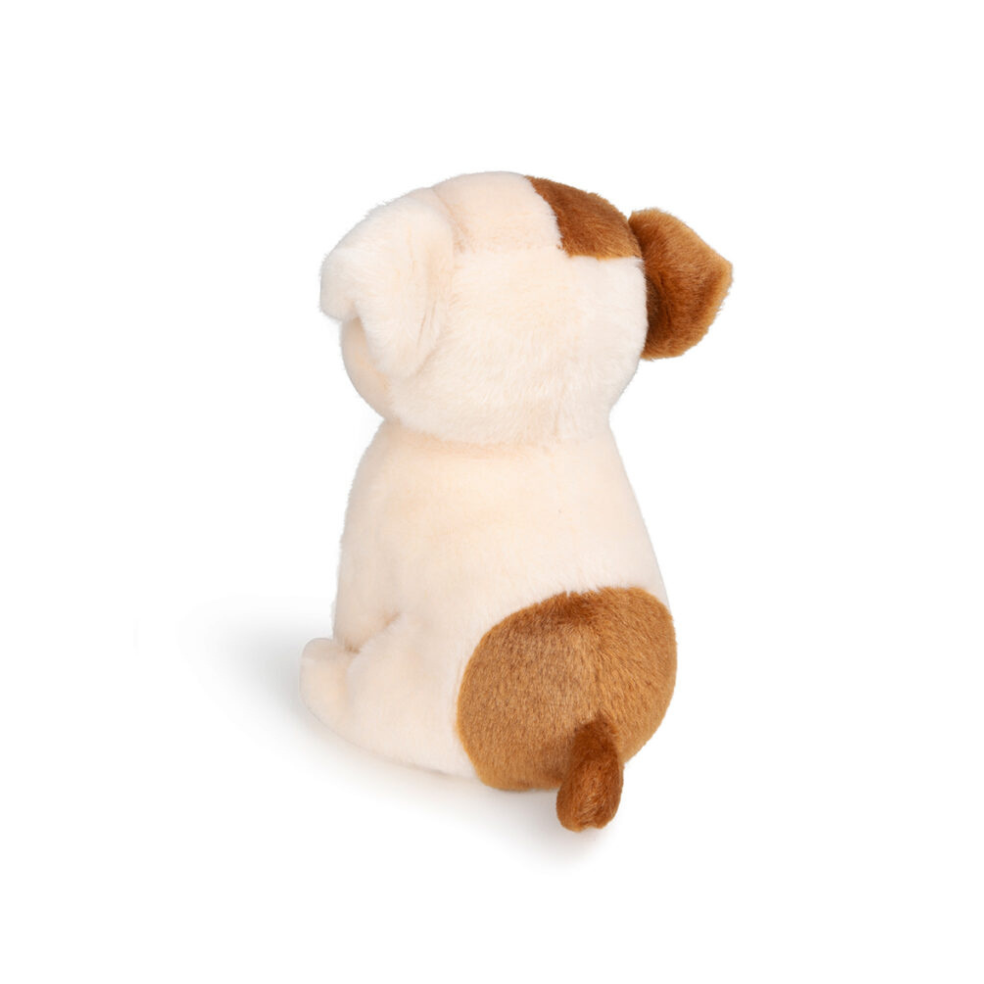 Puppy Bertha in a gift box
