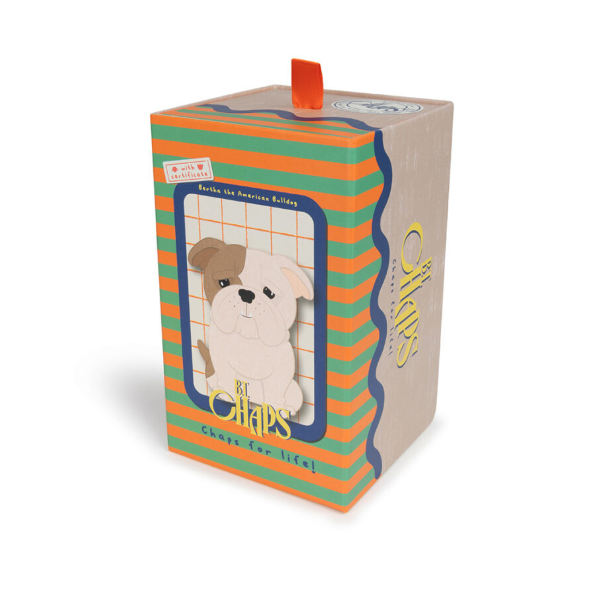 Puppy Bertha in a gift box