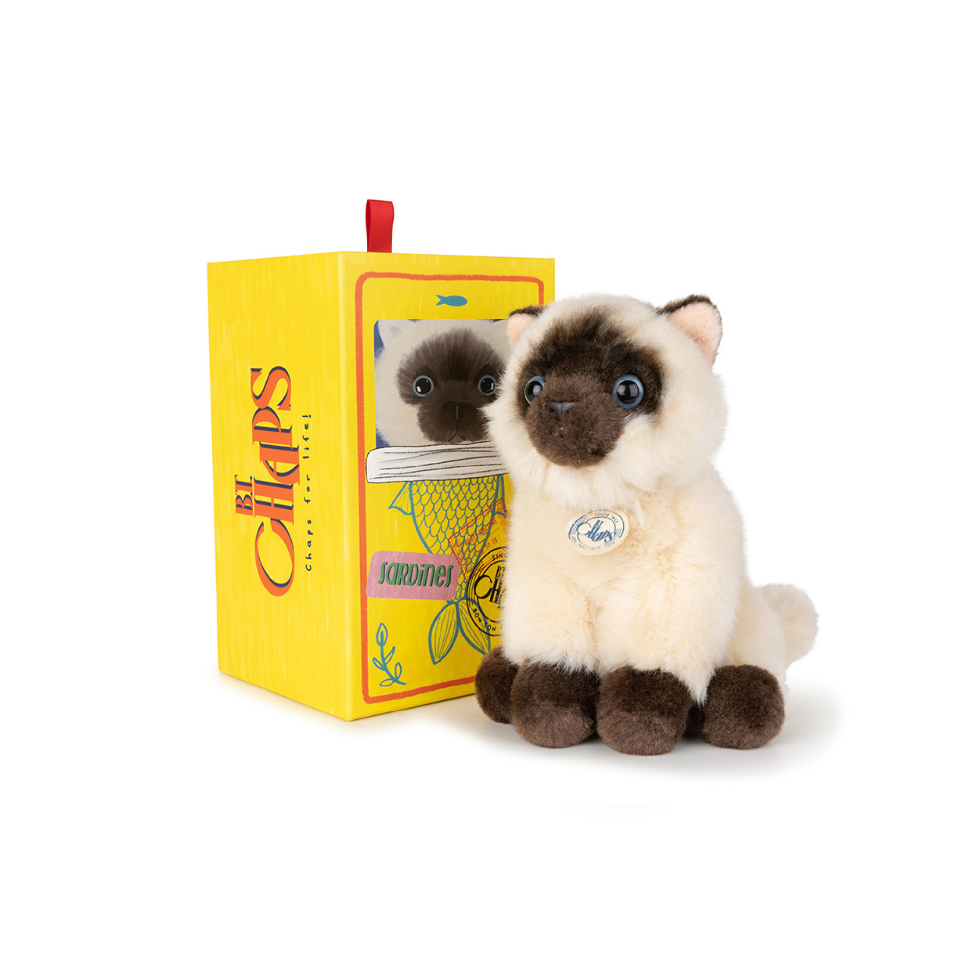 Eddie the kitten in a gift box
