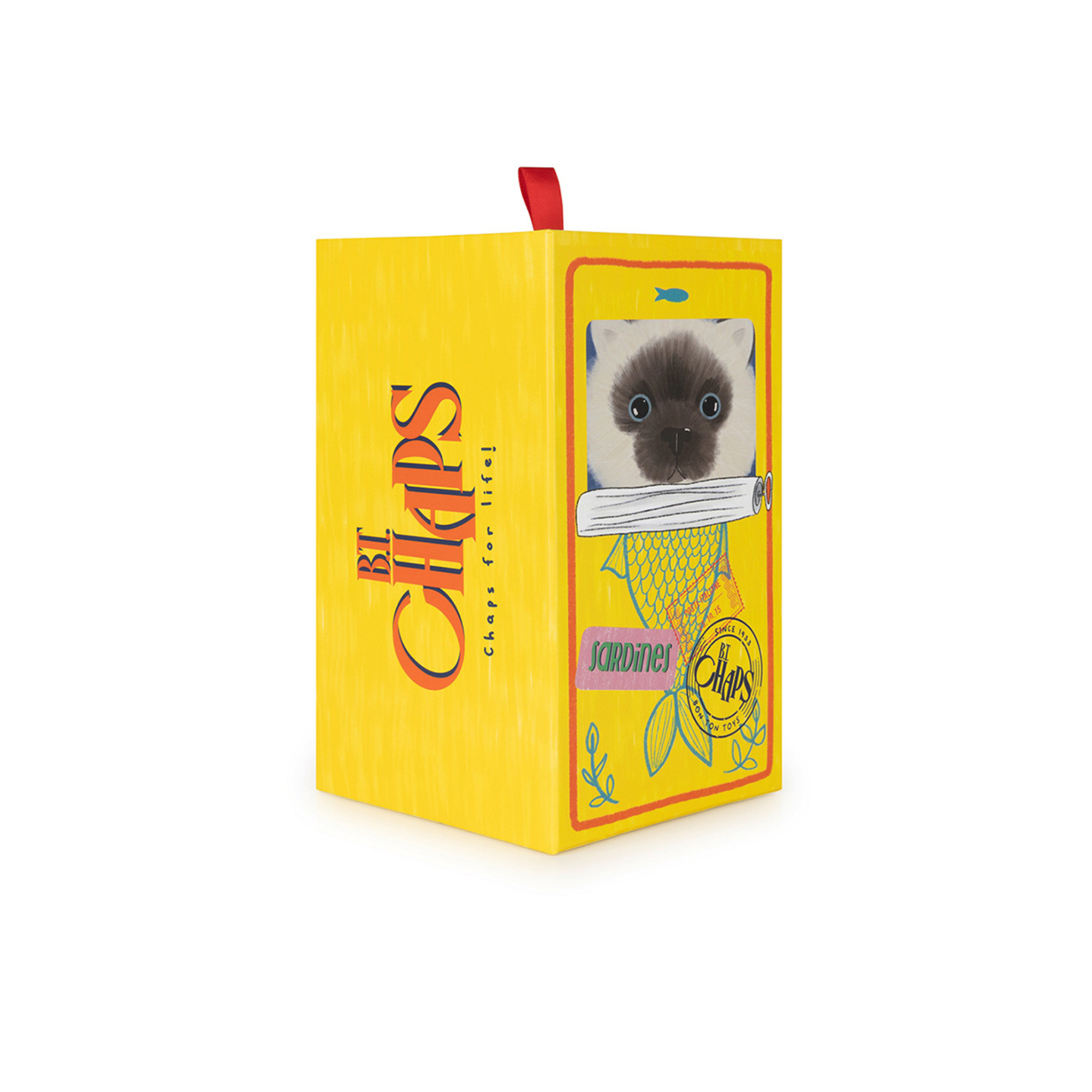 Eddie the kitten in a gift box