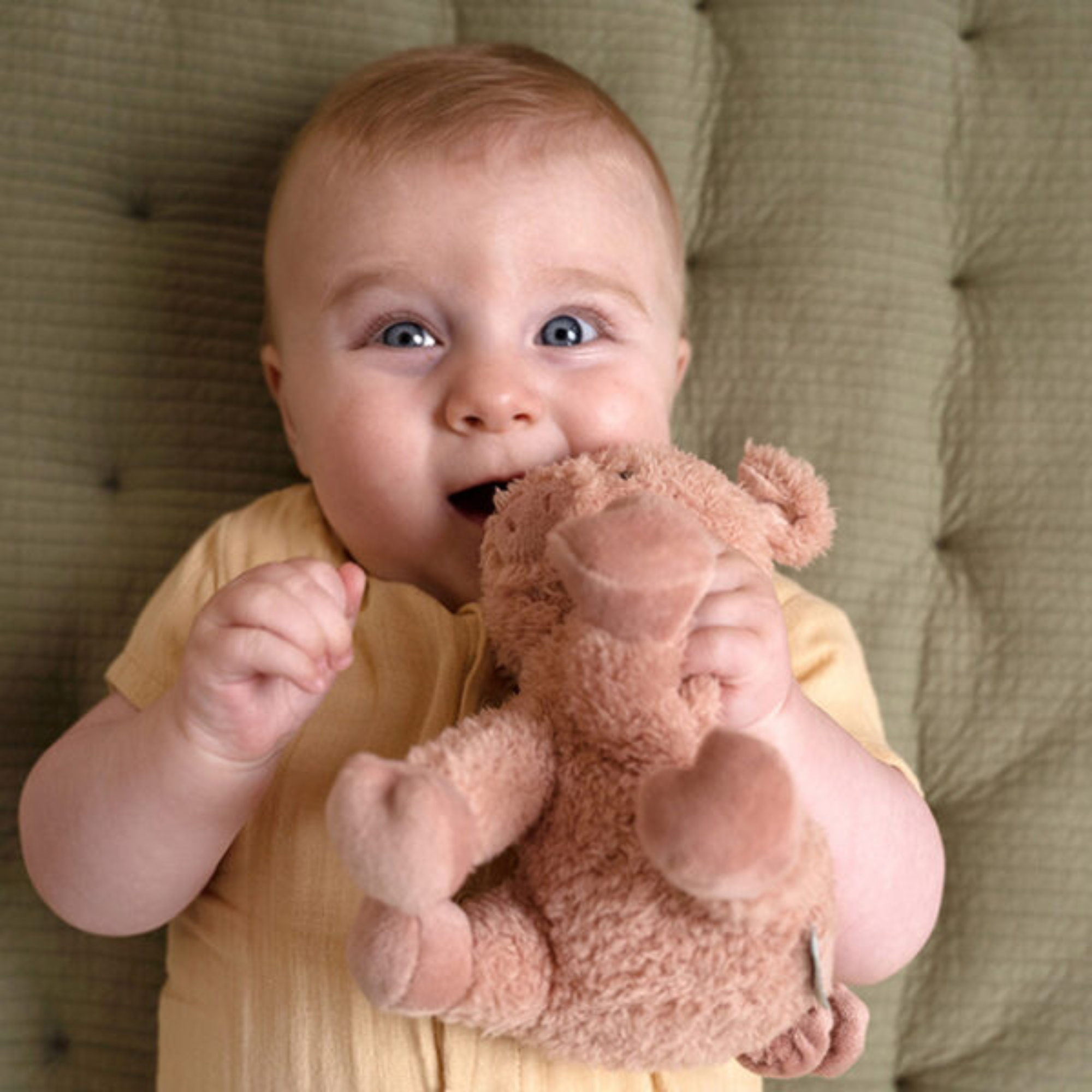 Plush pig - Pig 17 cm