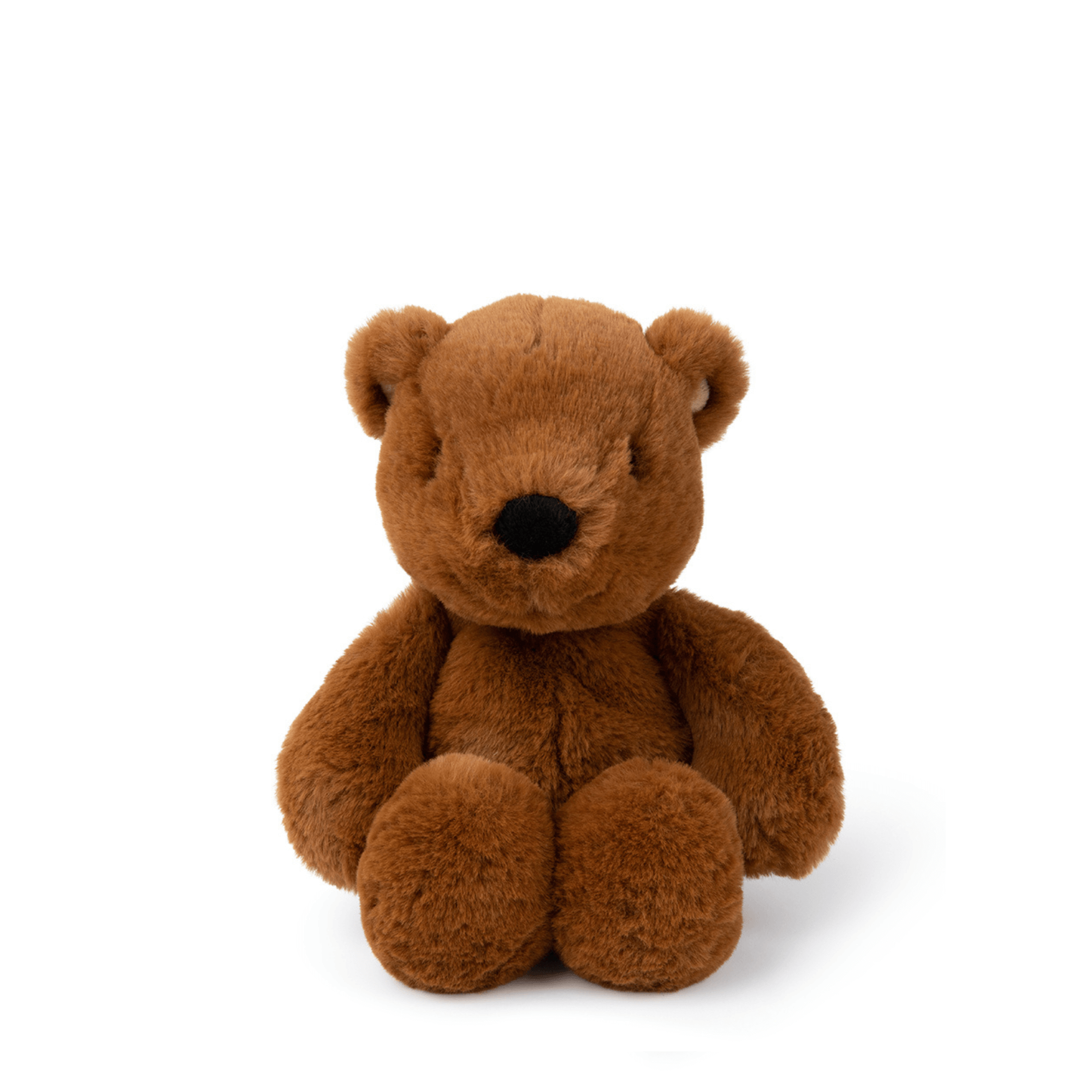 Little bear Bernard