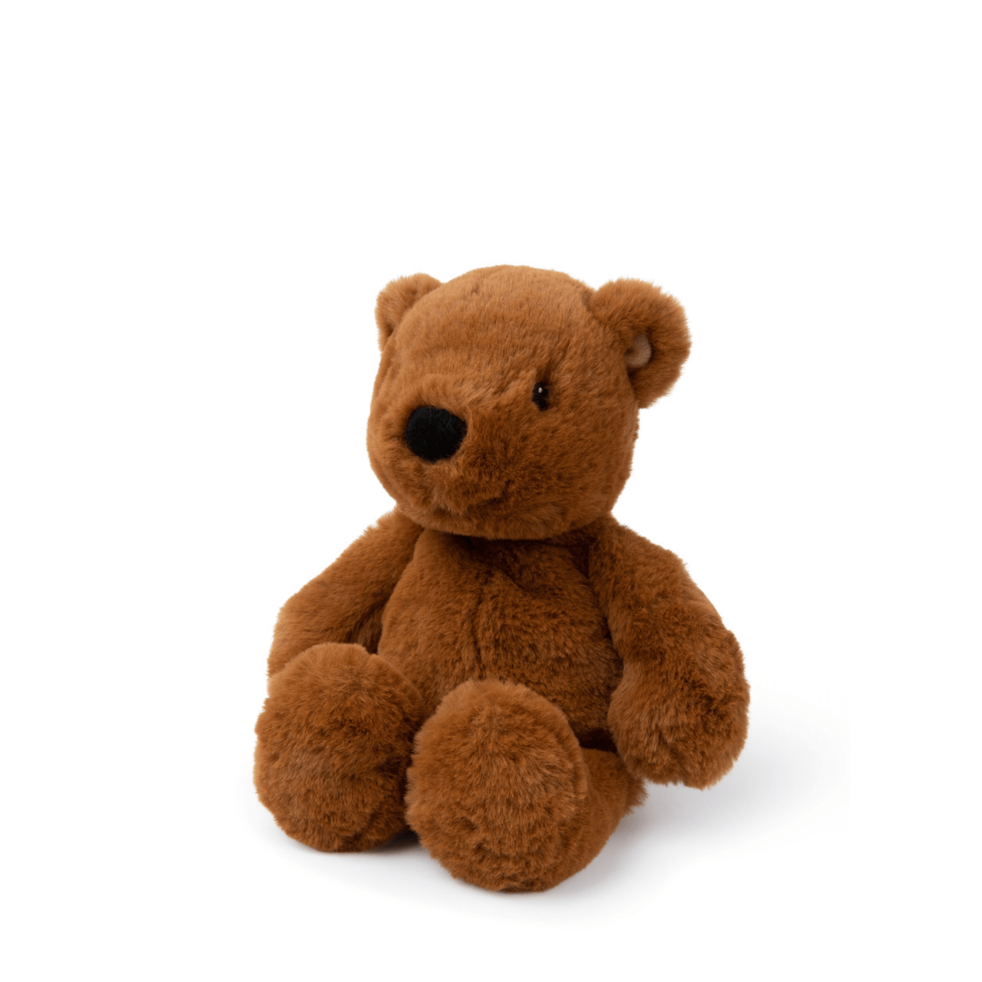 Little bear Bernard