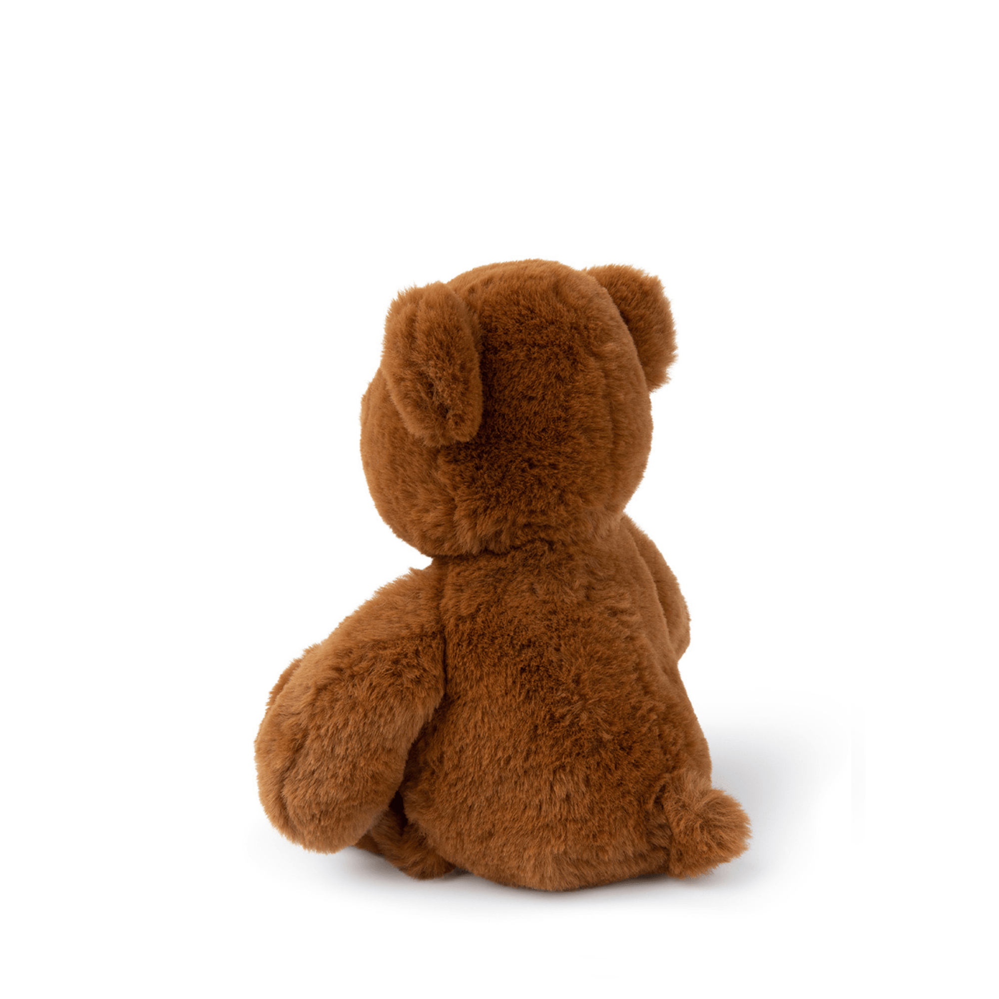Little bear Bernard