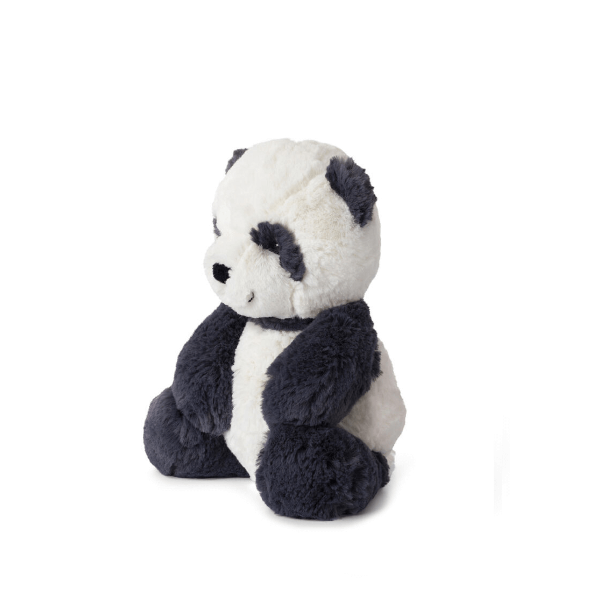 The little bear - Panda Panu