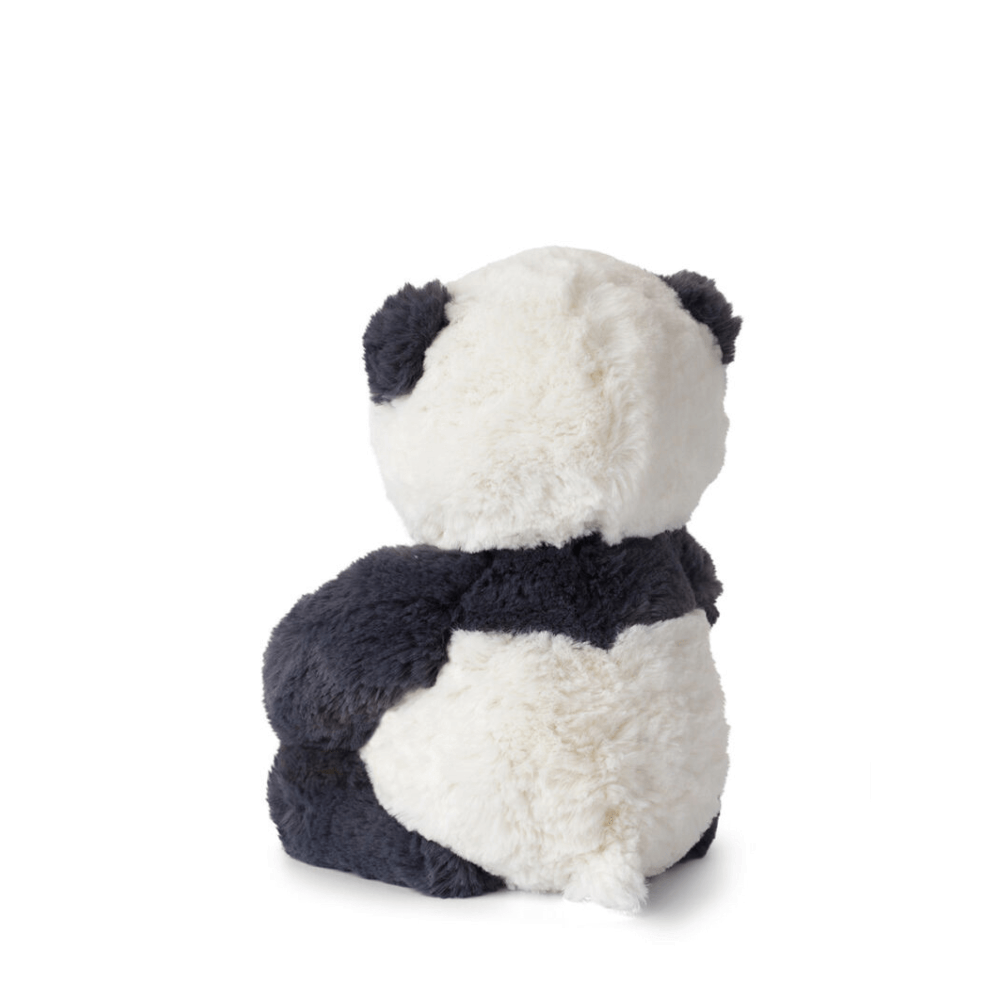 The little bear - Panda Panu