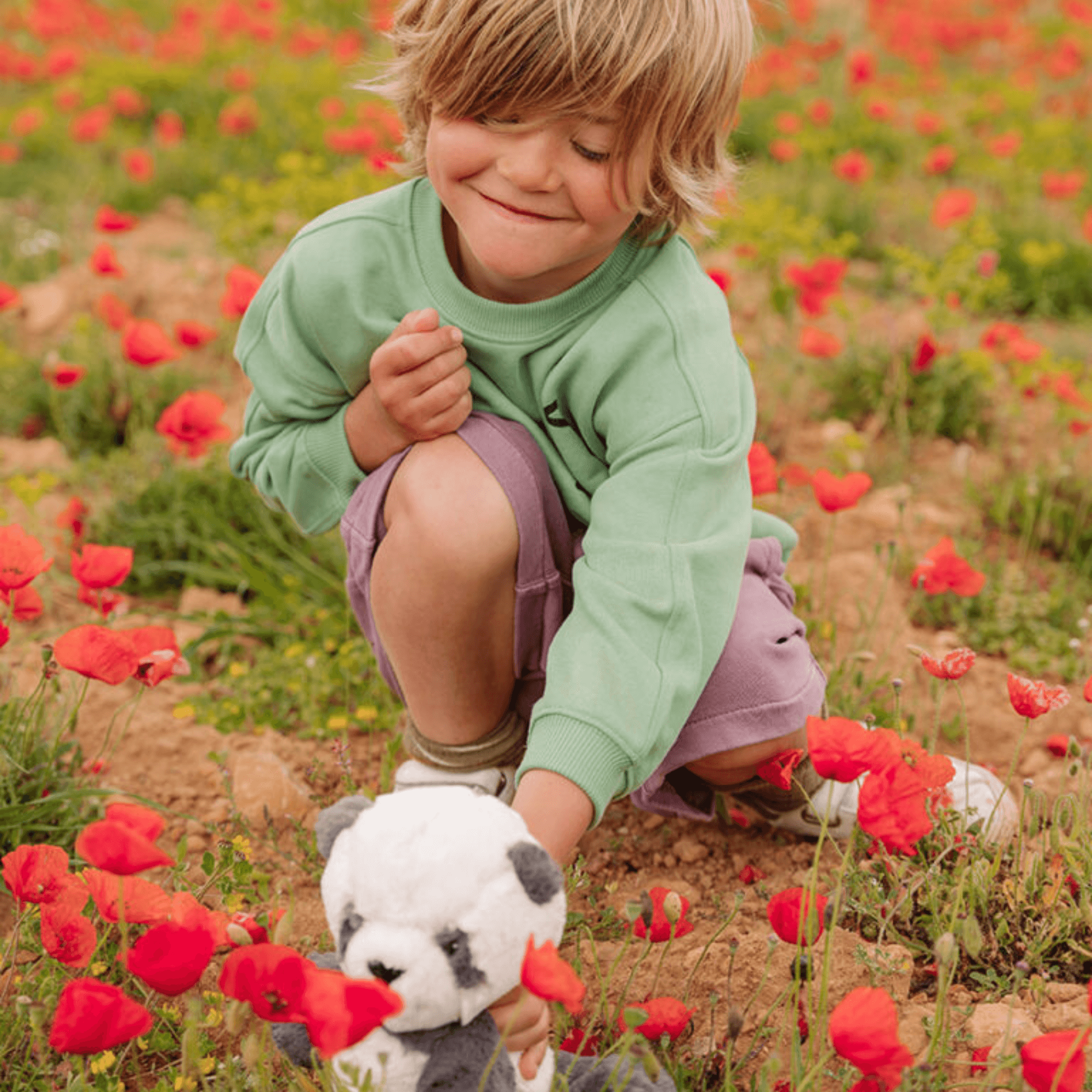 The little bear - Panda Panu