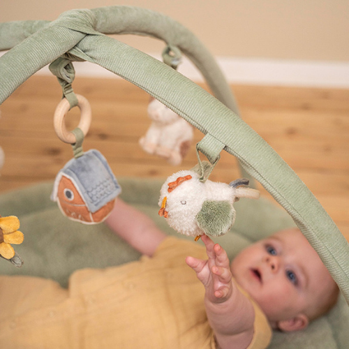 Educational playpen Little Farm