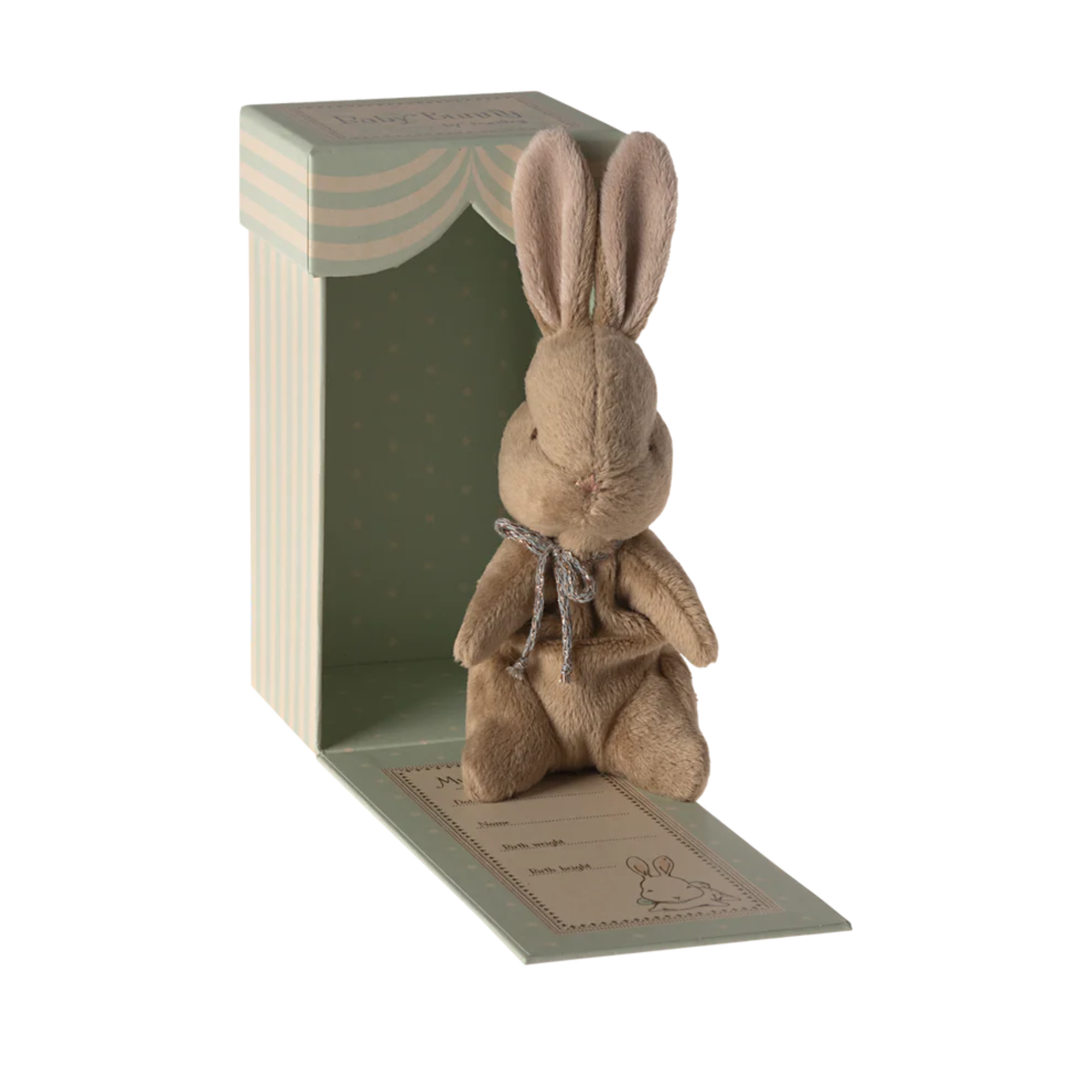 Bunny in a blue box