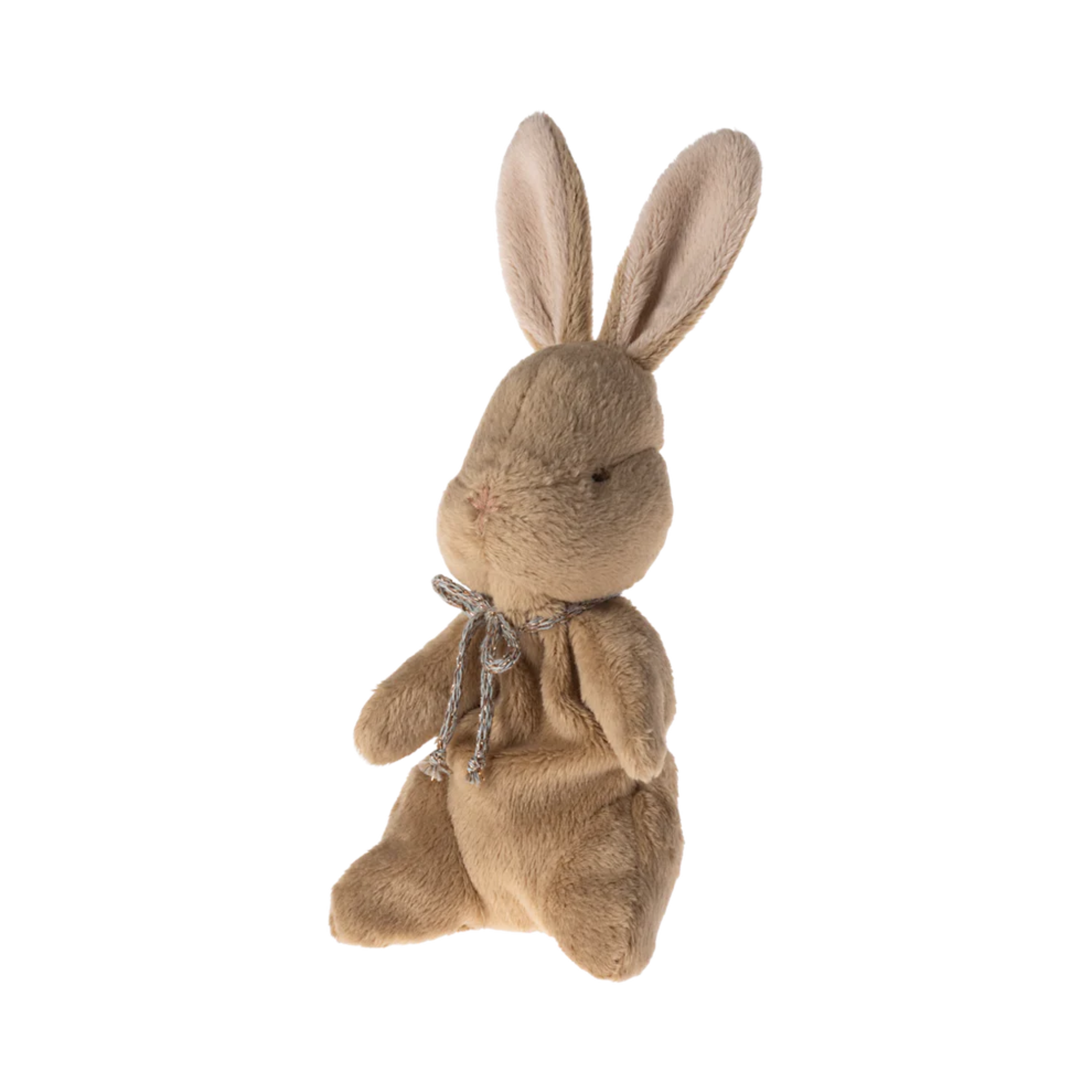 Bunny in a blue box