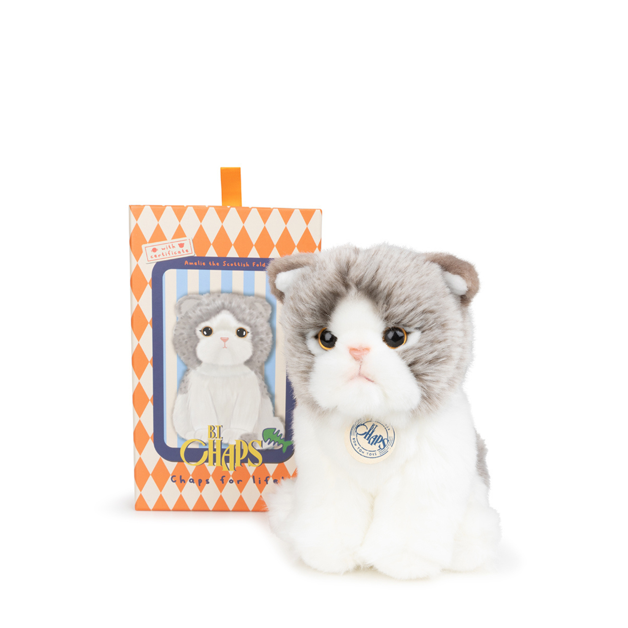 Plush Scottish cat in a box