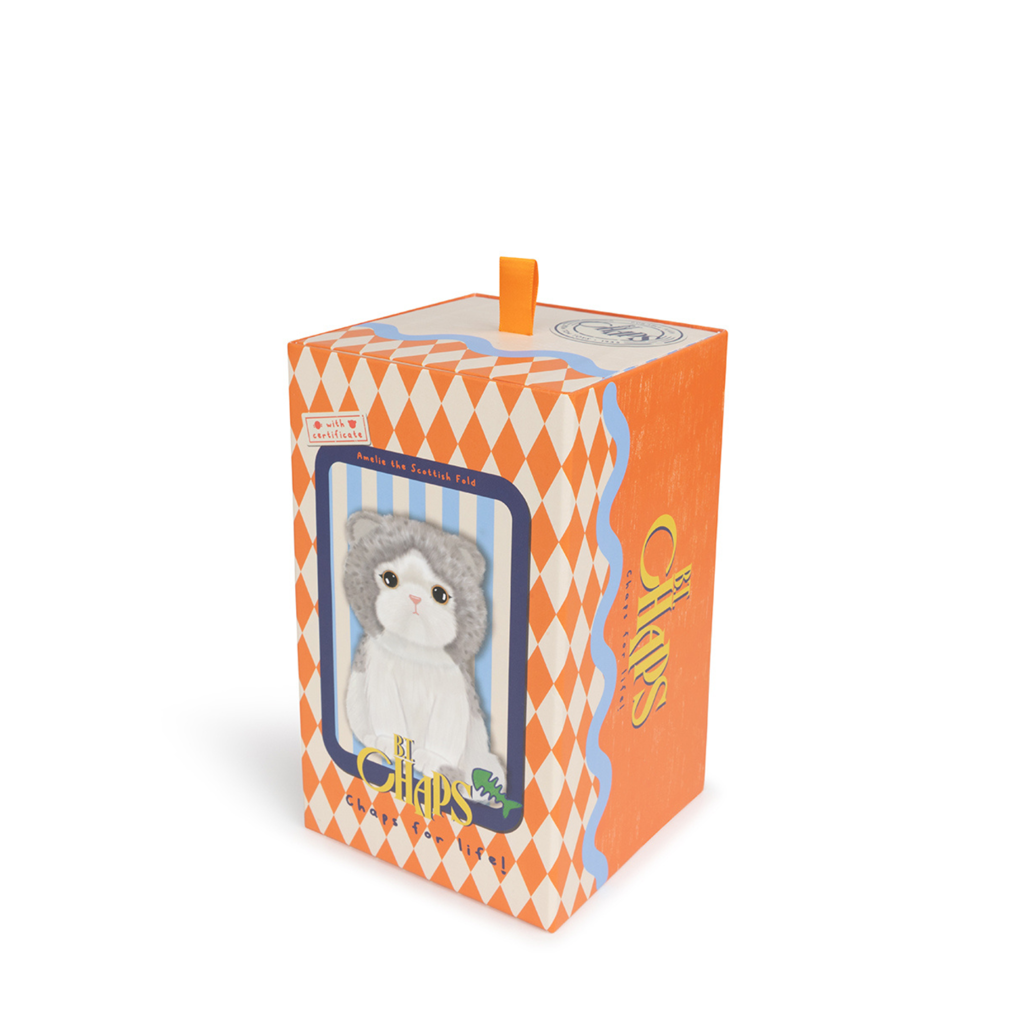 Plush Scottish cat in a box