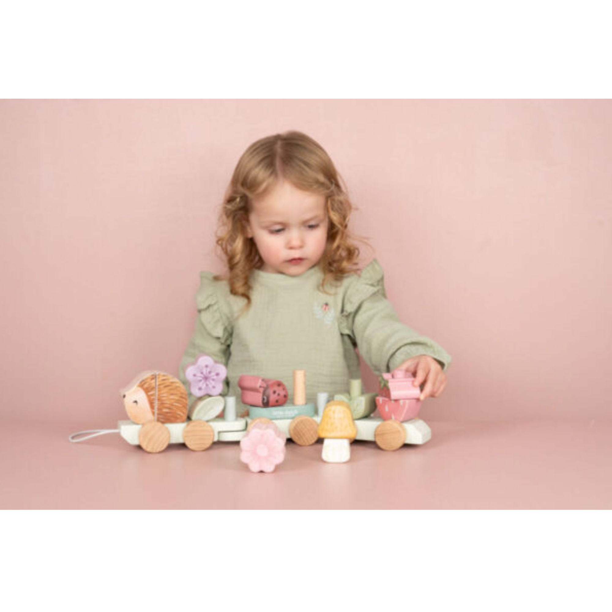 Traukinukas Fairy Garden