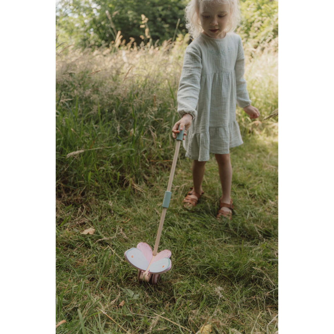 The goose is being pushed