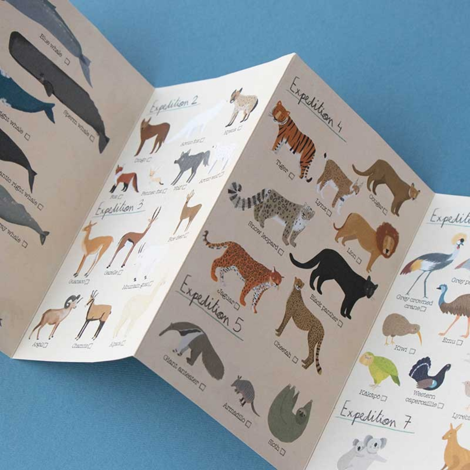 Puzzle Animal Planet