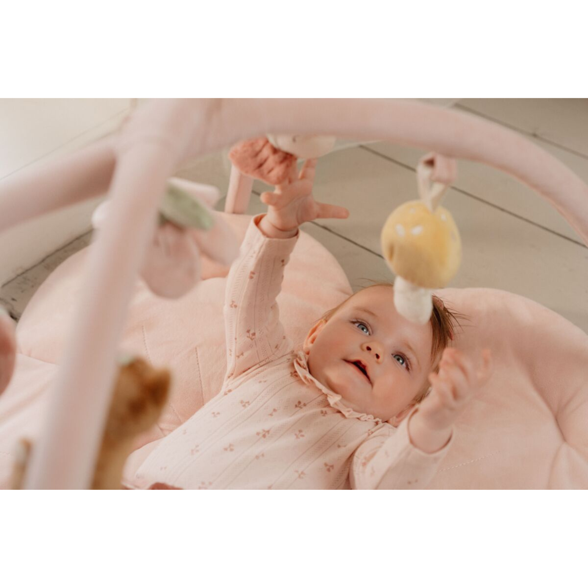 Educational playpen Little Farm
