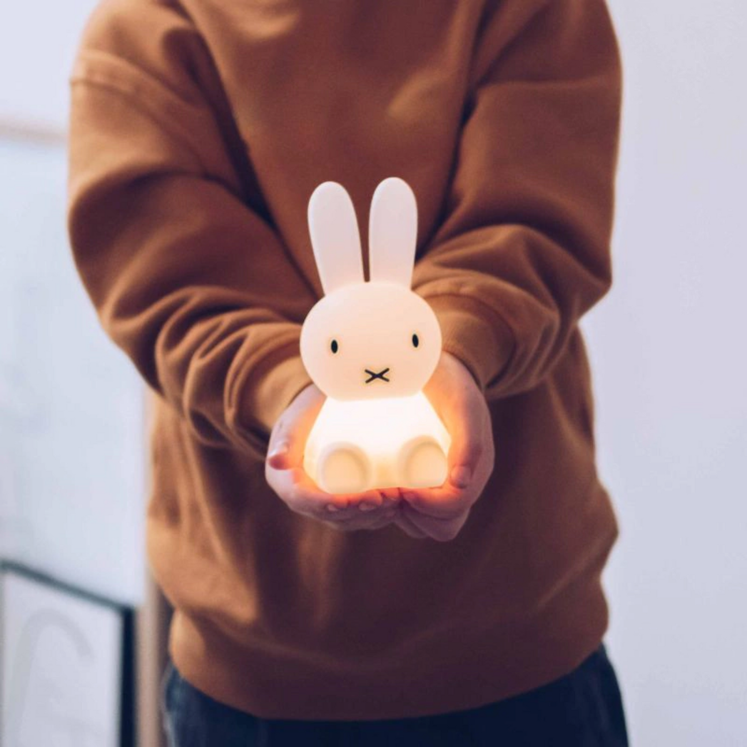 Small Miffy lamp
