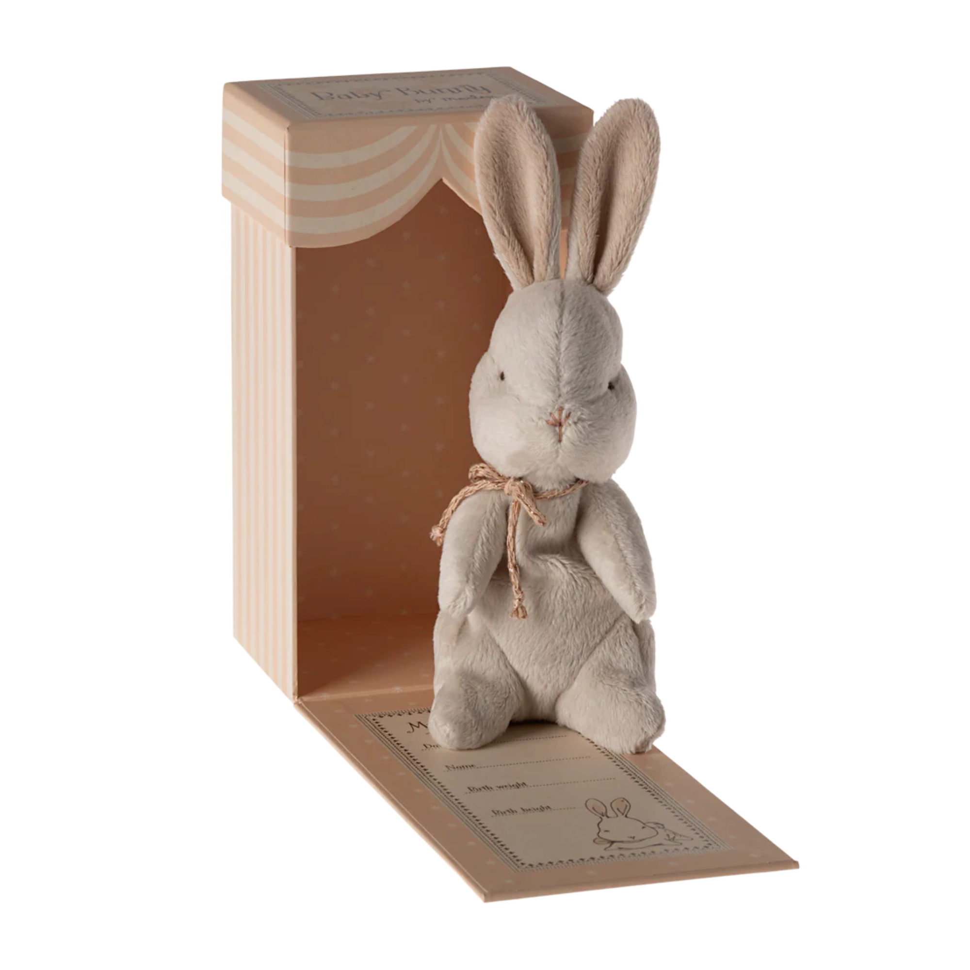 Zuikutis rausvoje dėžutėje - Off white