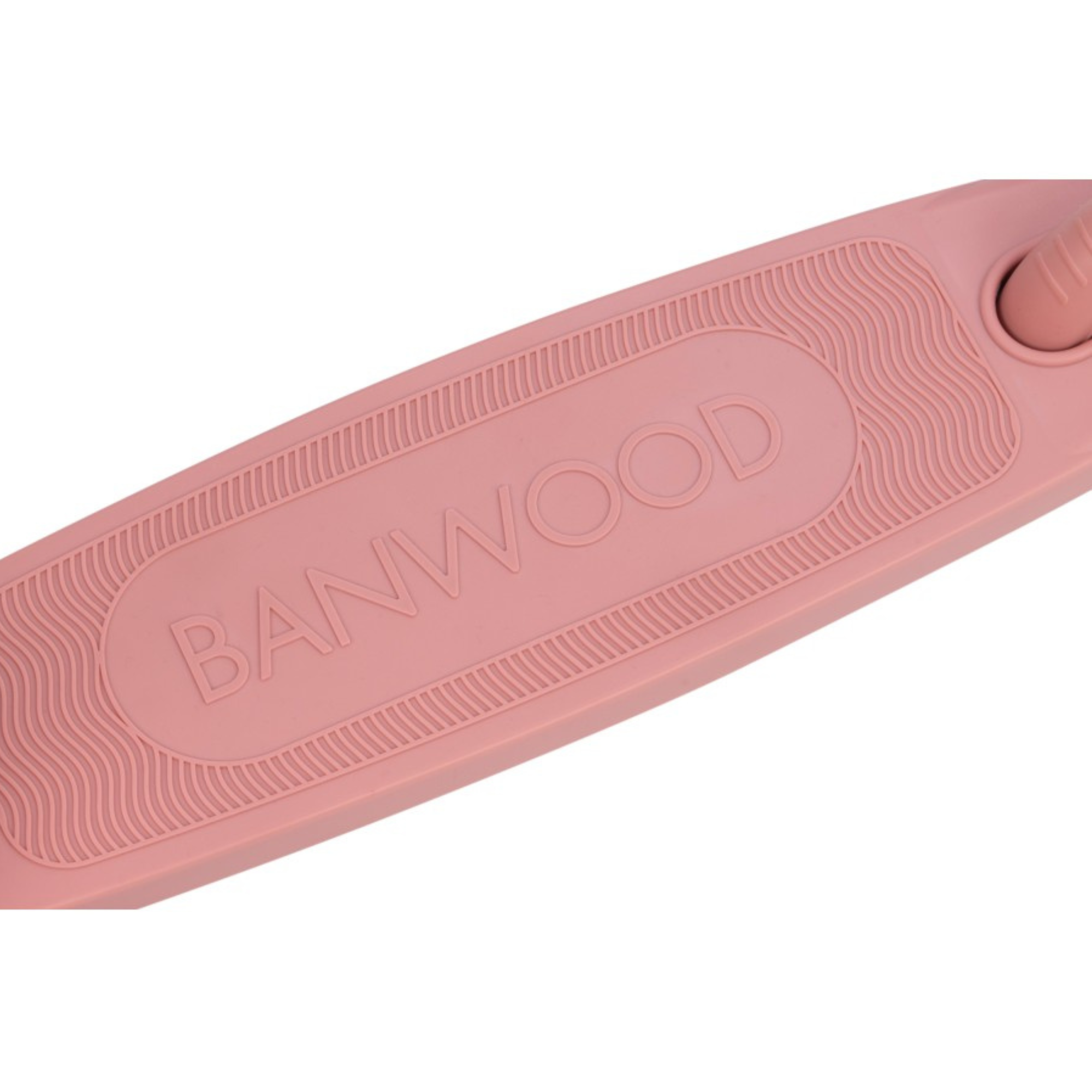 ECO Paspirtukas - Raspberry