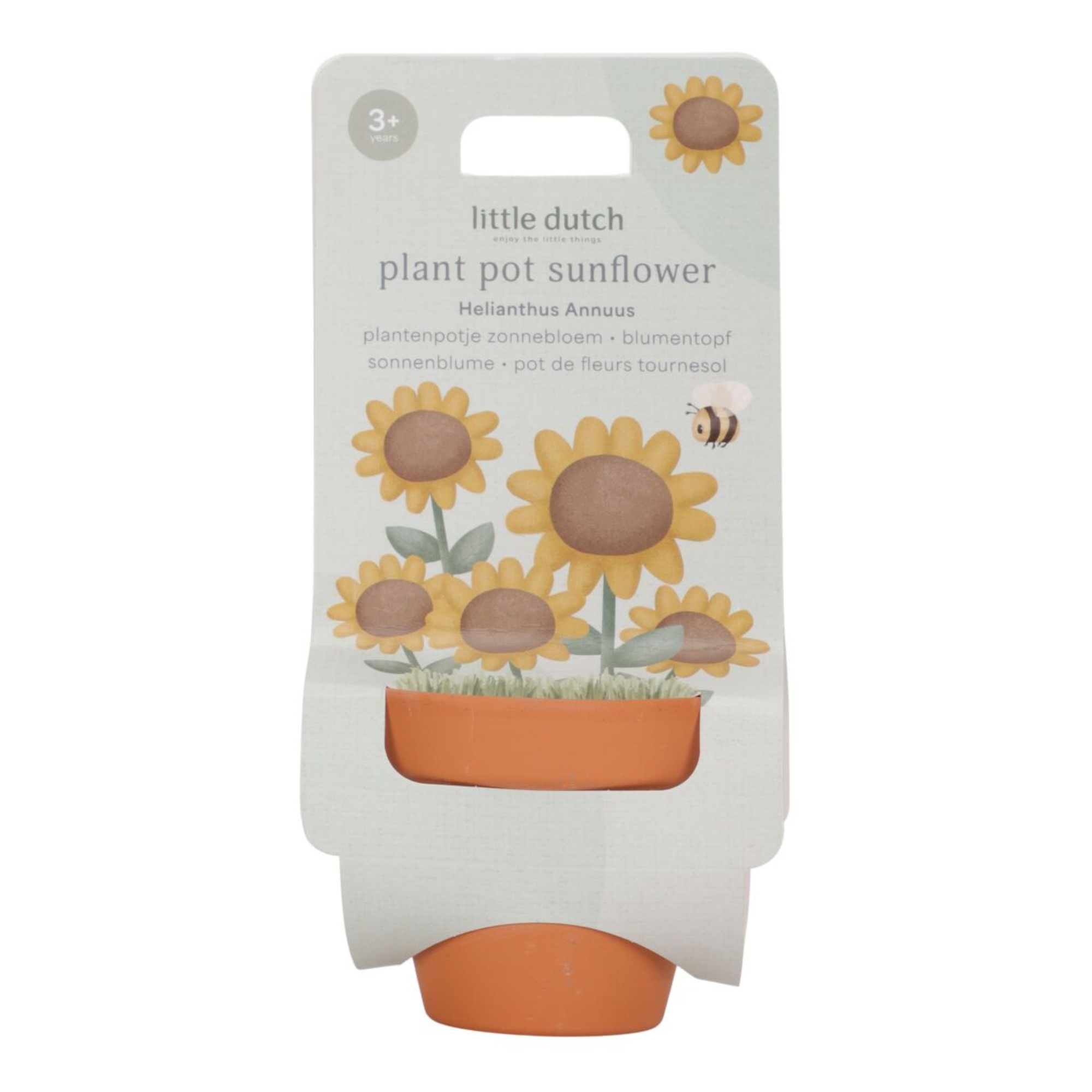 Plant pot - Sunflower