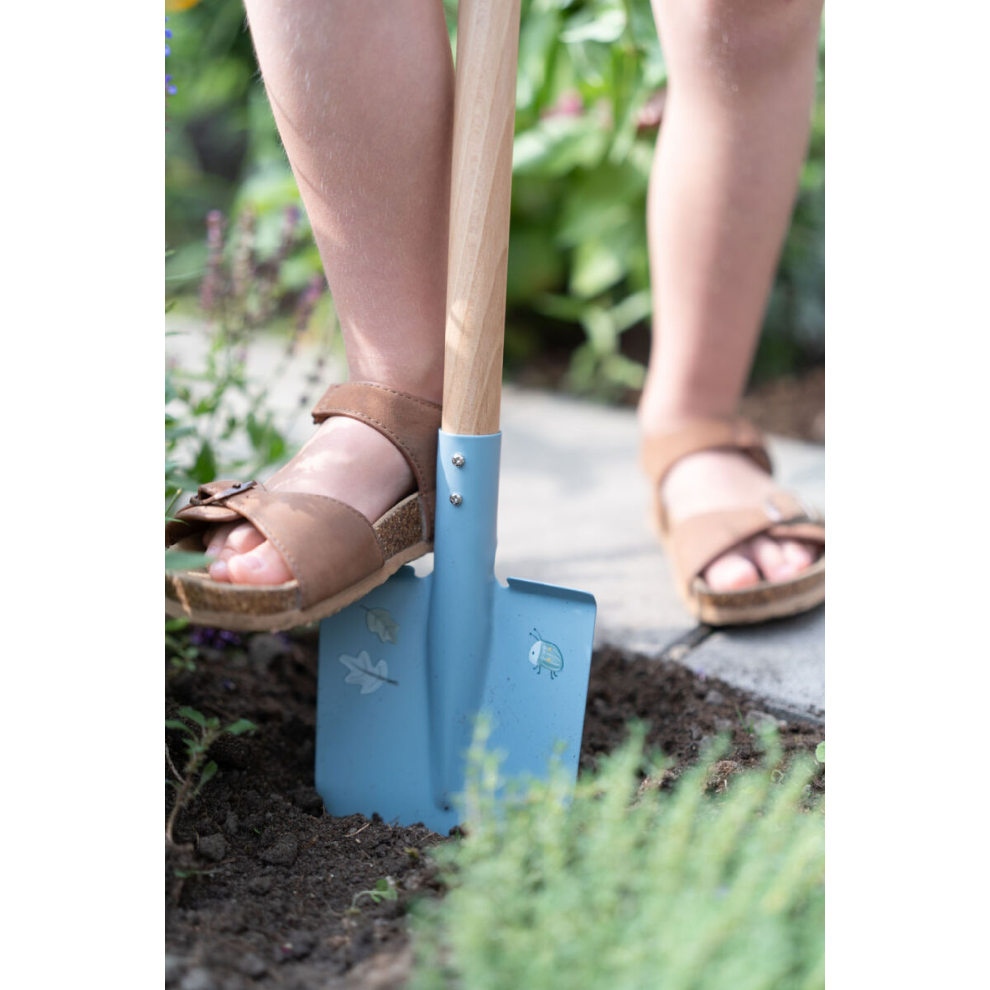 Shovel - Forest Friends
