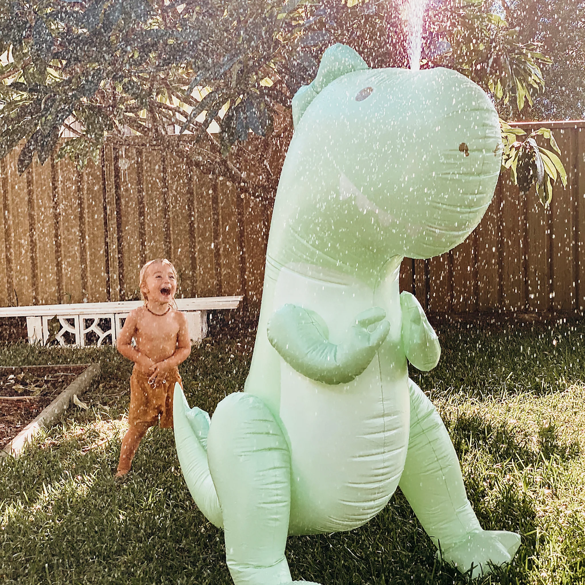 Vandens purkštukas - Surfing Dino