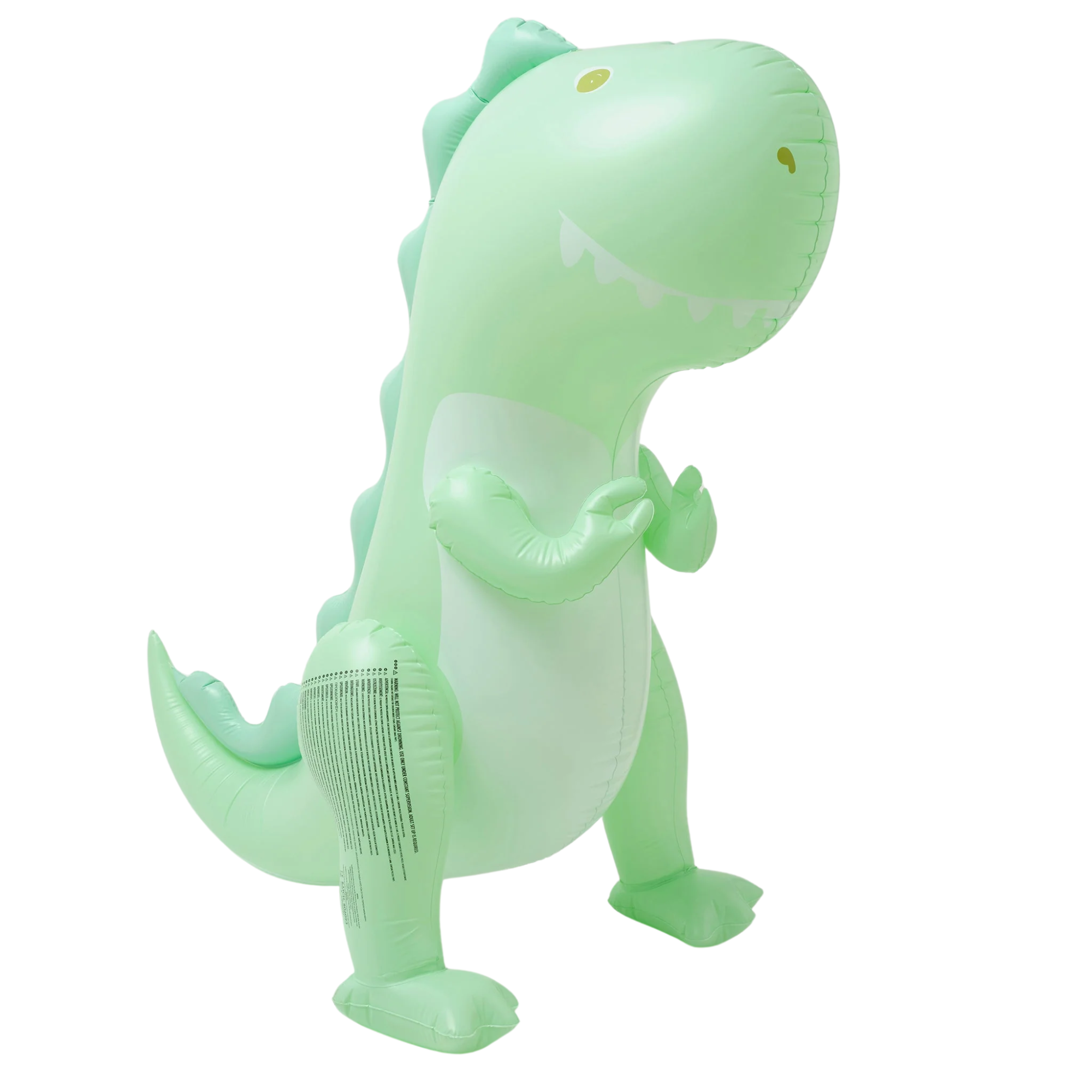 Vandens purkštukas - Surfing Dino