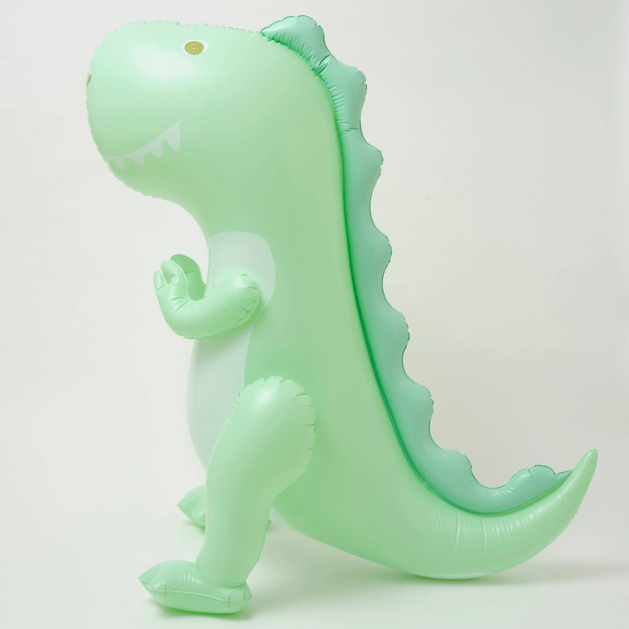 Vandens purkštukas - Surfing Dino