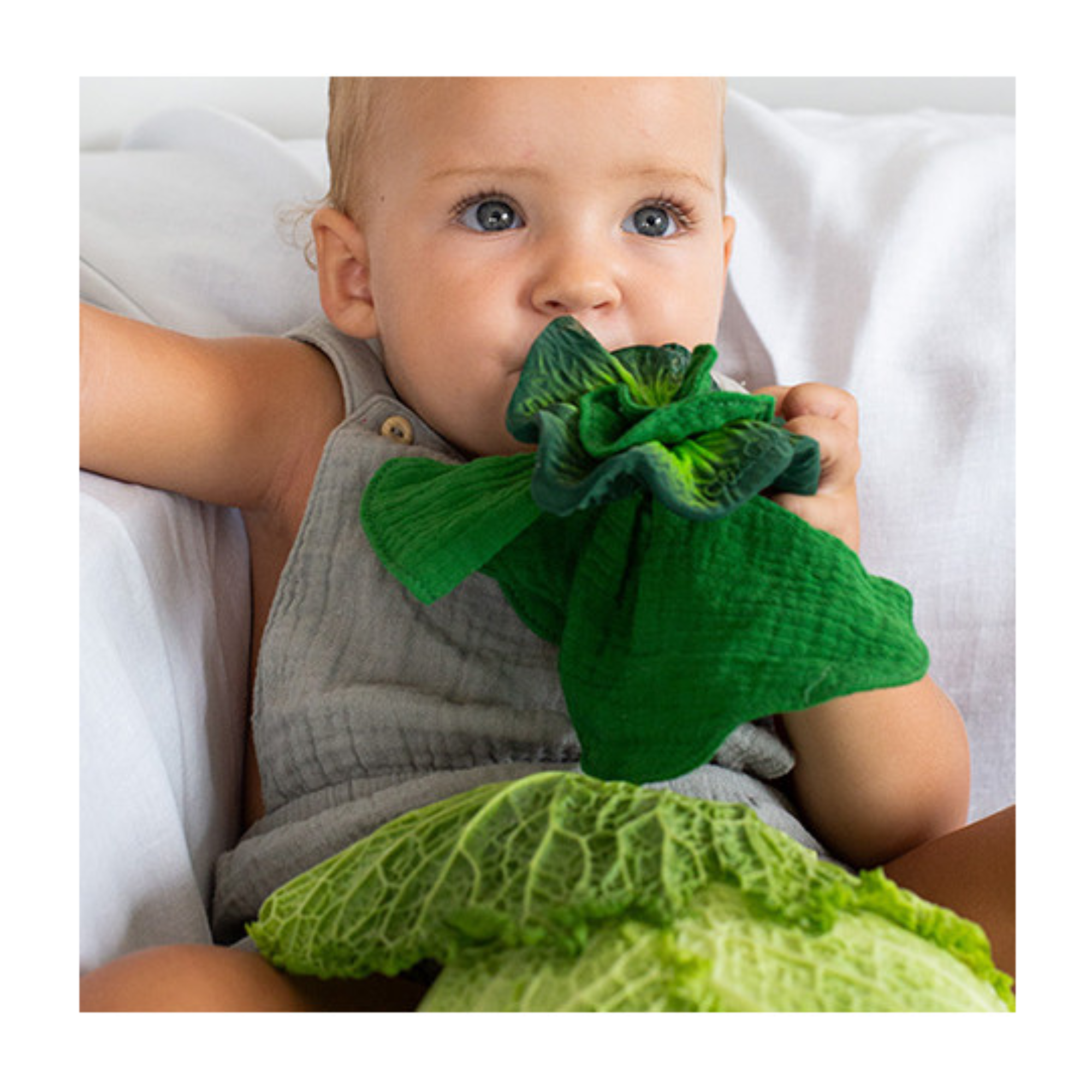 Kramtukas ir merliukas Kendall the Kale