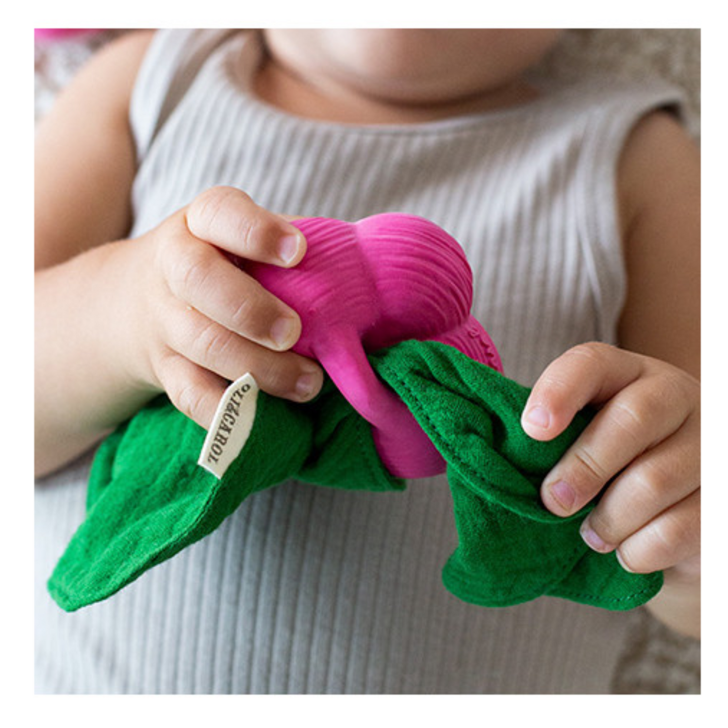 Ramona the Radish chew toy and rattle