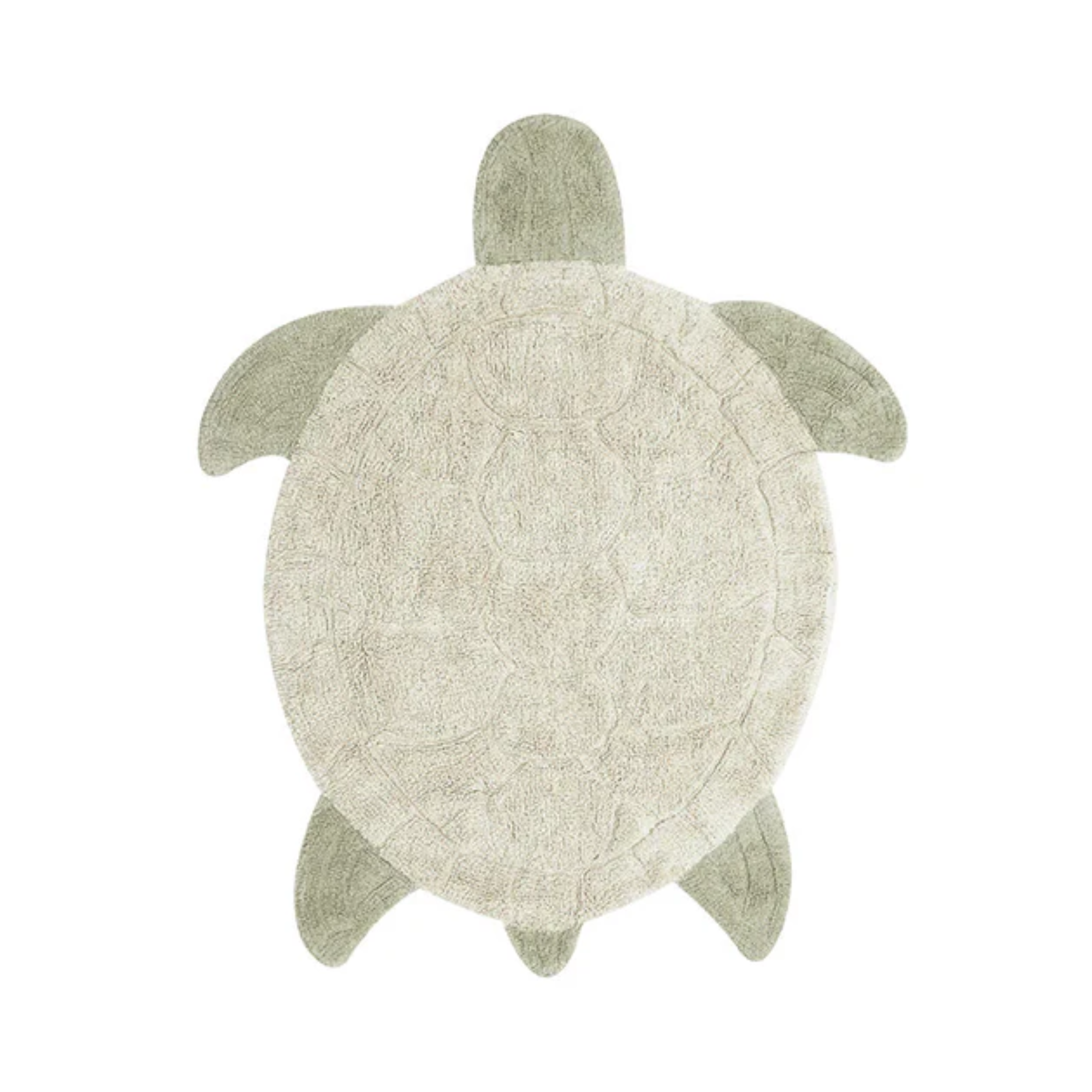 Carpet Turtle