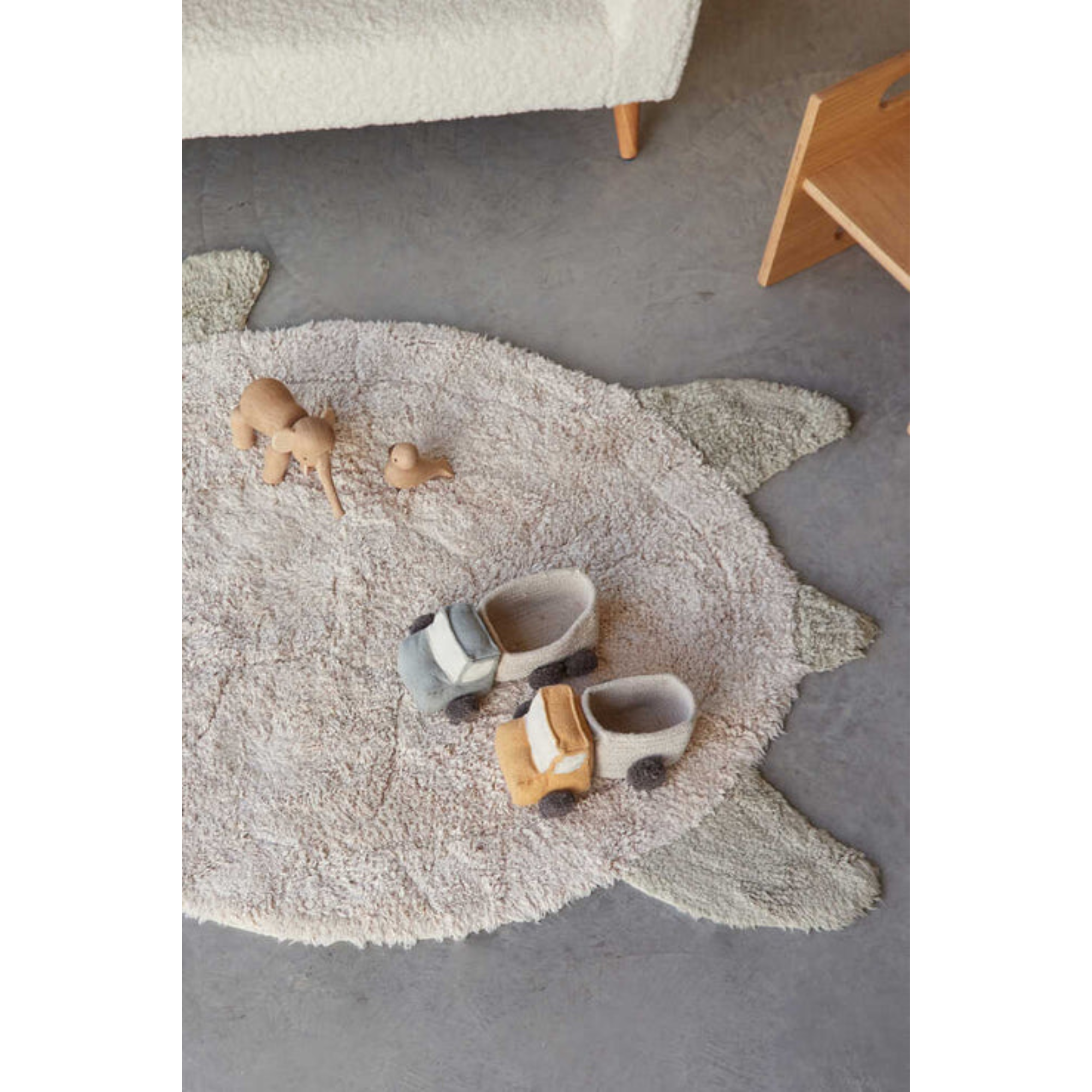 Carpet Turtle