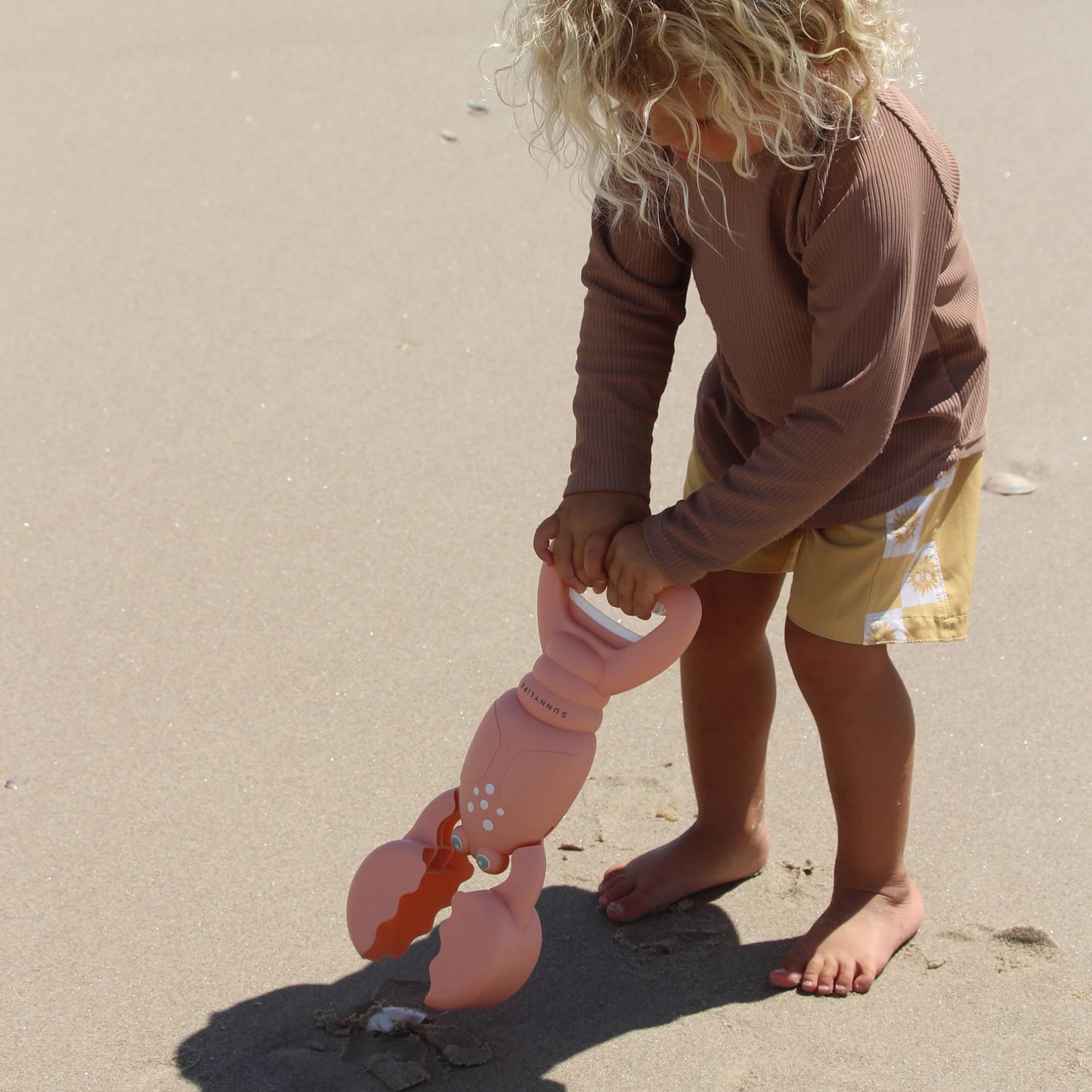 Water toy - Lobster Coral