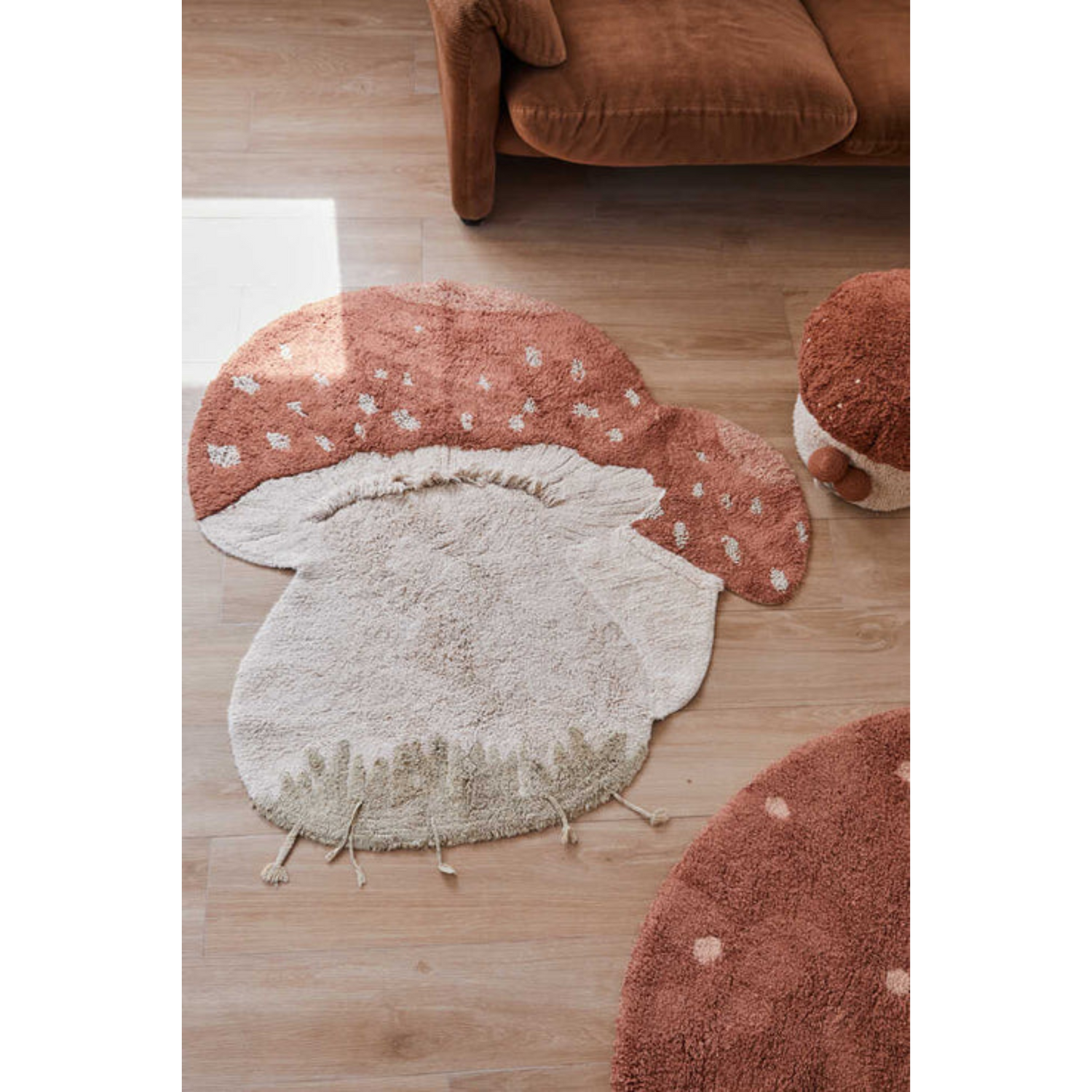 Carpet Boletus