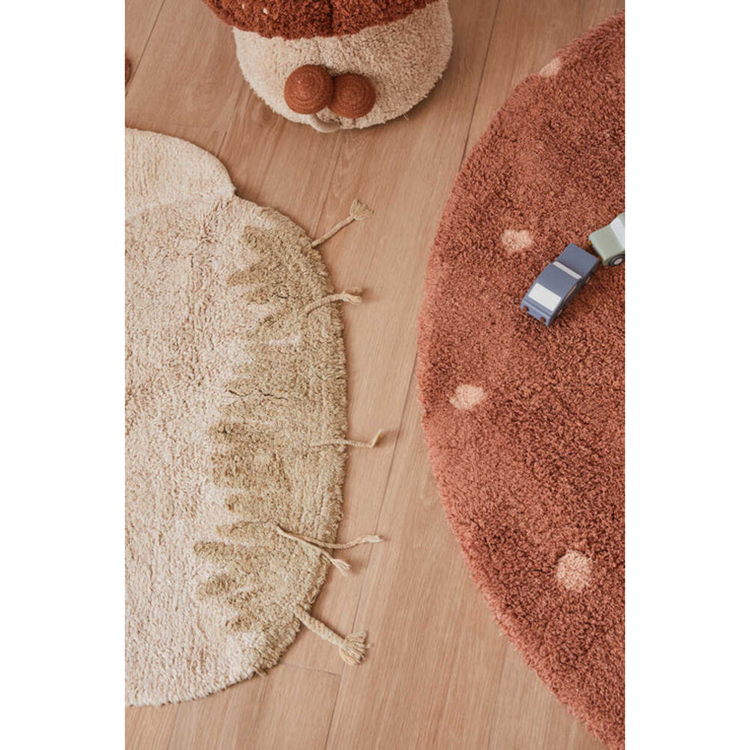 Carpet Boletus