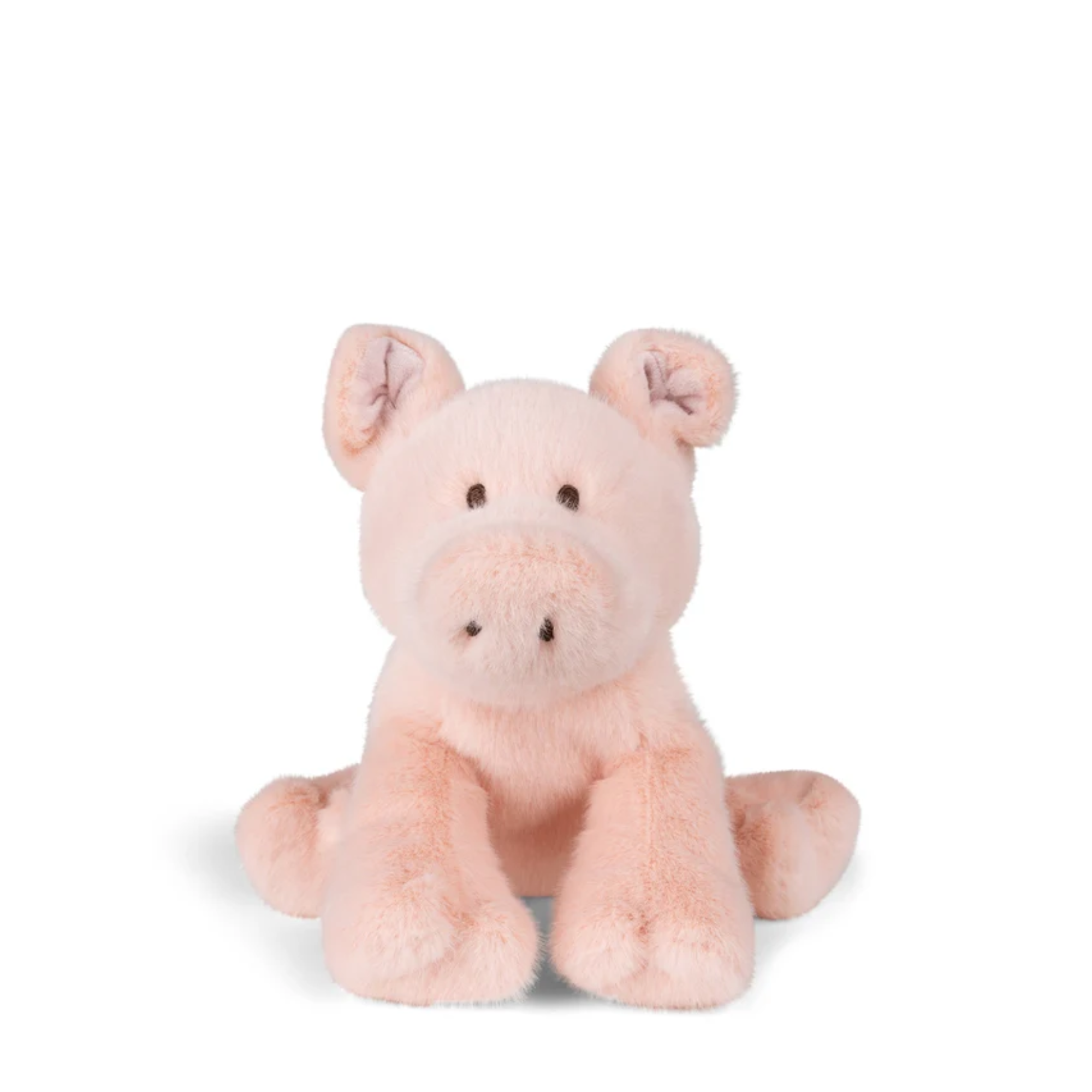 Little Pig- Paddy